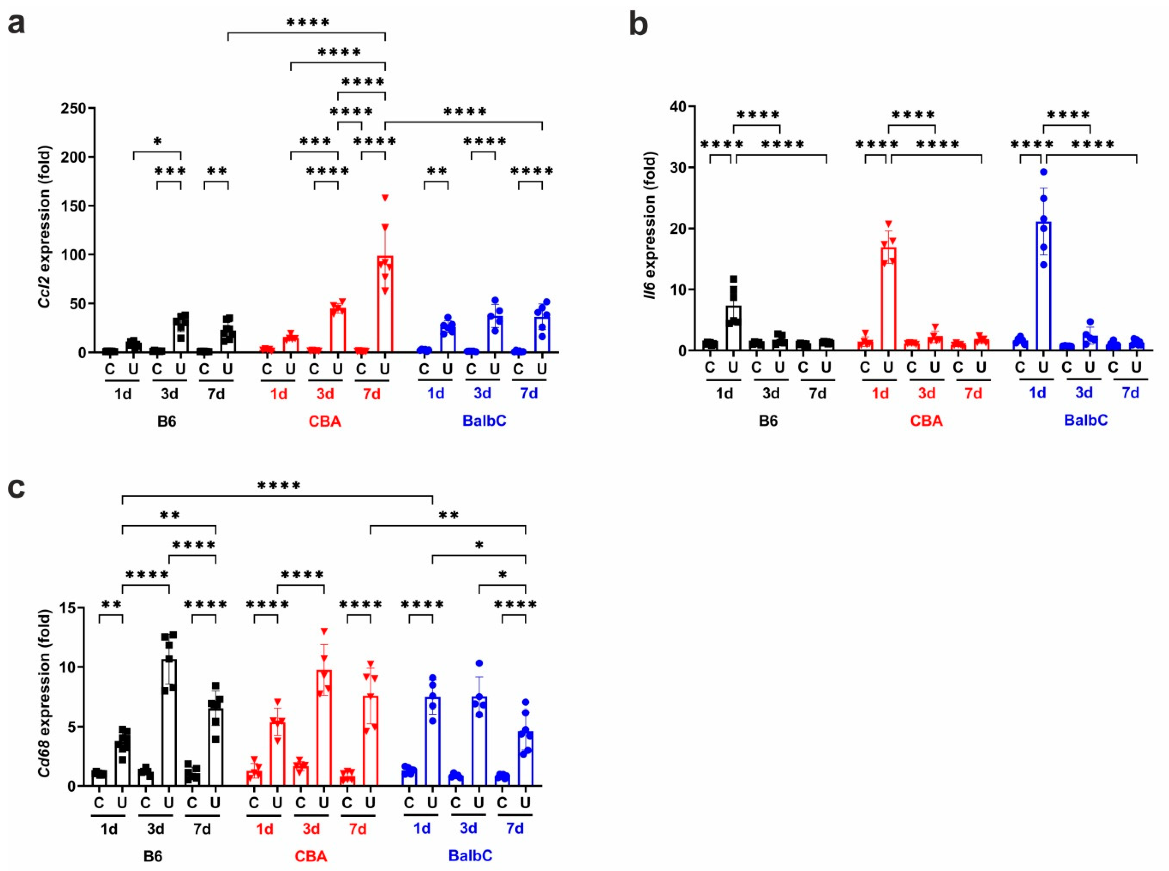 Ijms 25 12551 g009 Ijms 25 12551 g009