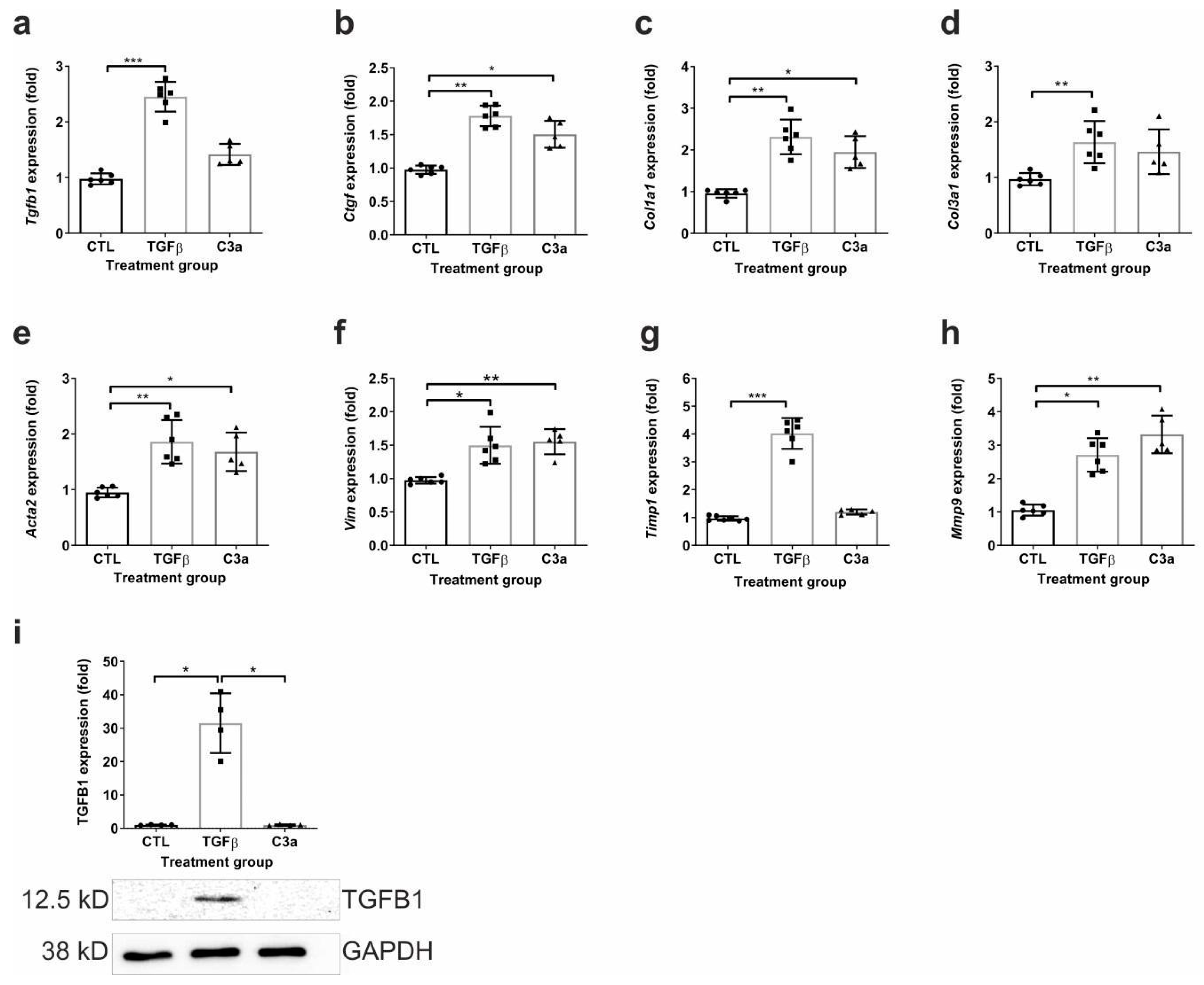 Ijms 25 12551 g011 Ijms 25 12551 g011