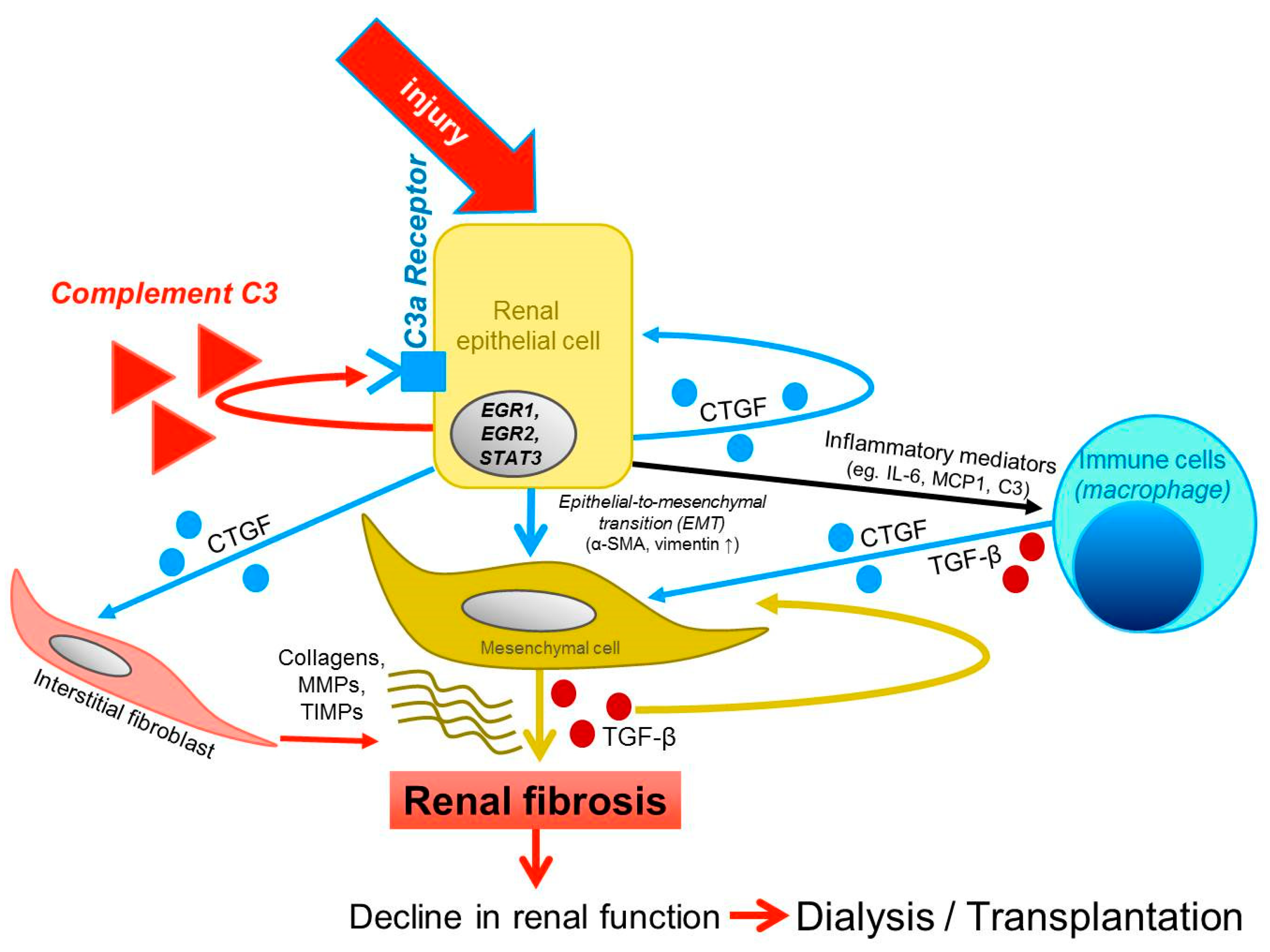 Ijms 25 12551 g014 Ijms 25 12551 g014