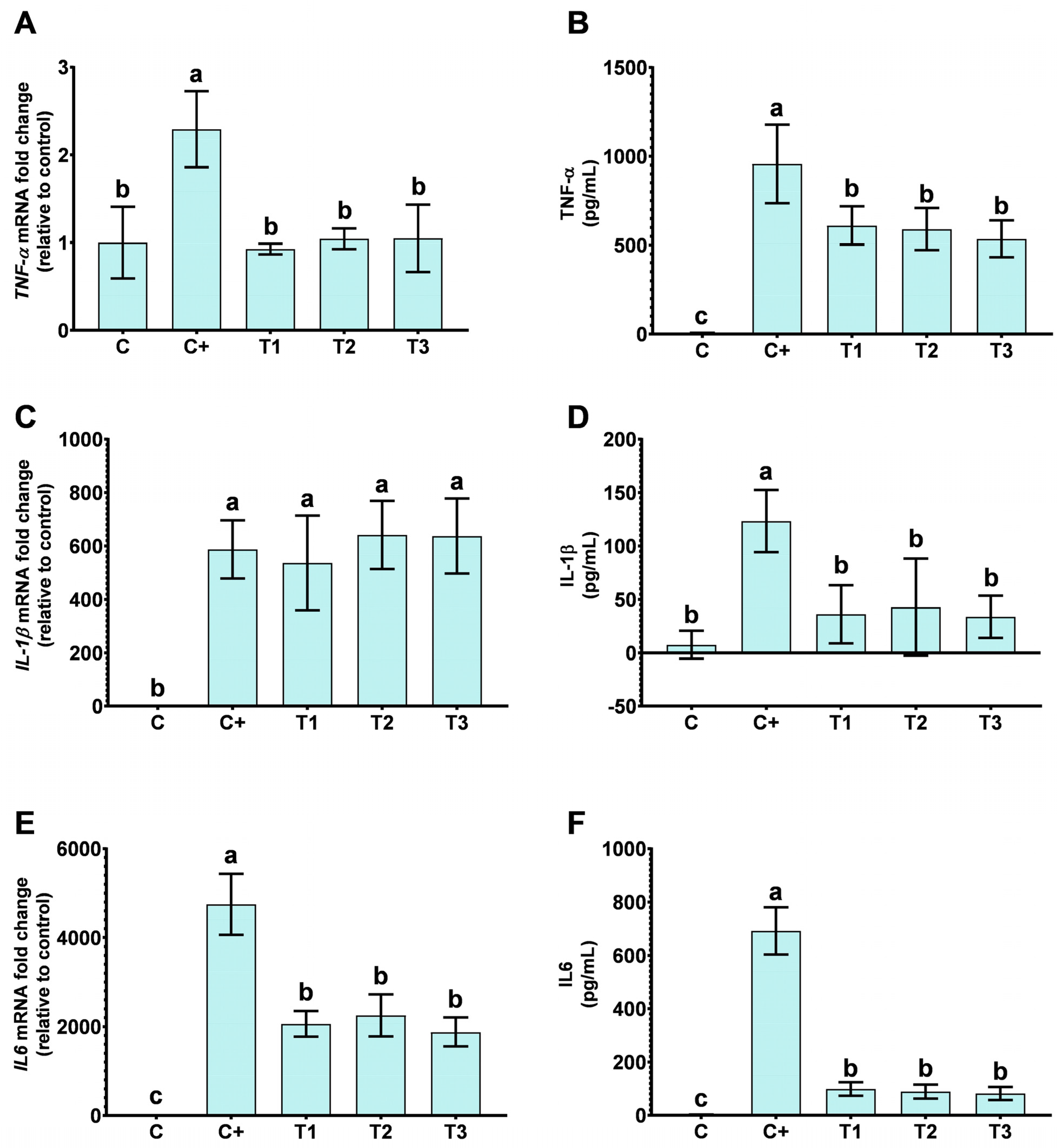 Ijms 25 12628 g002 Ijms 25 12628 g002