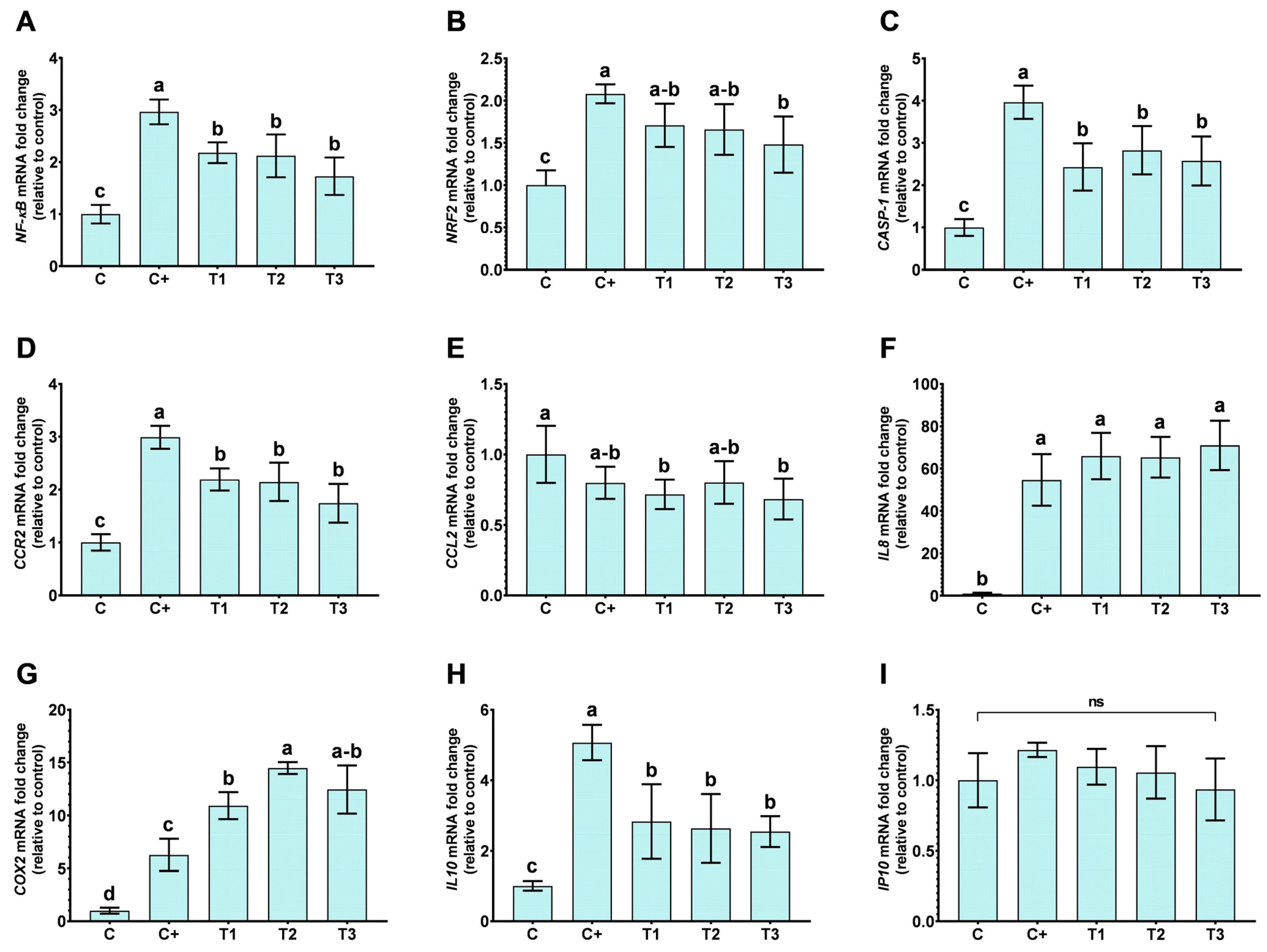 Ijms 25 12628 g004 Ijms 25 12628 g004