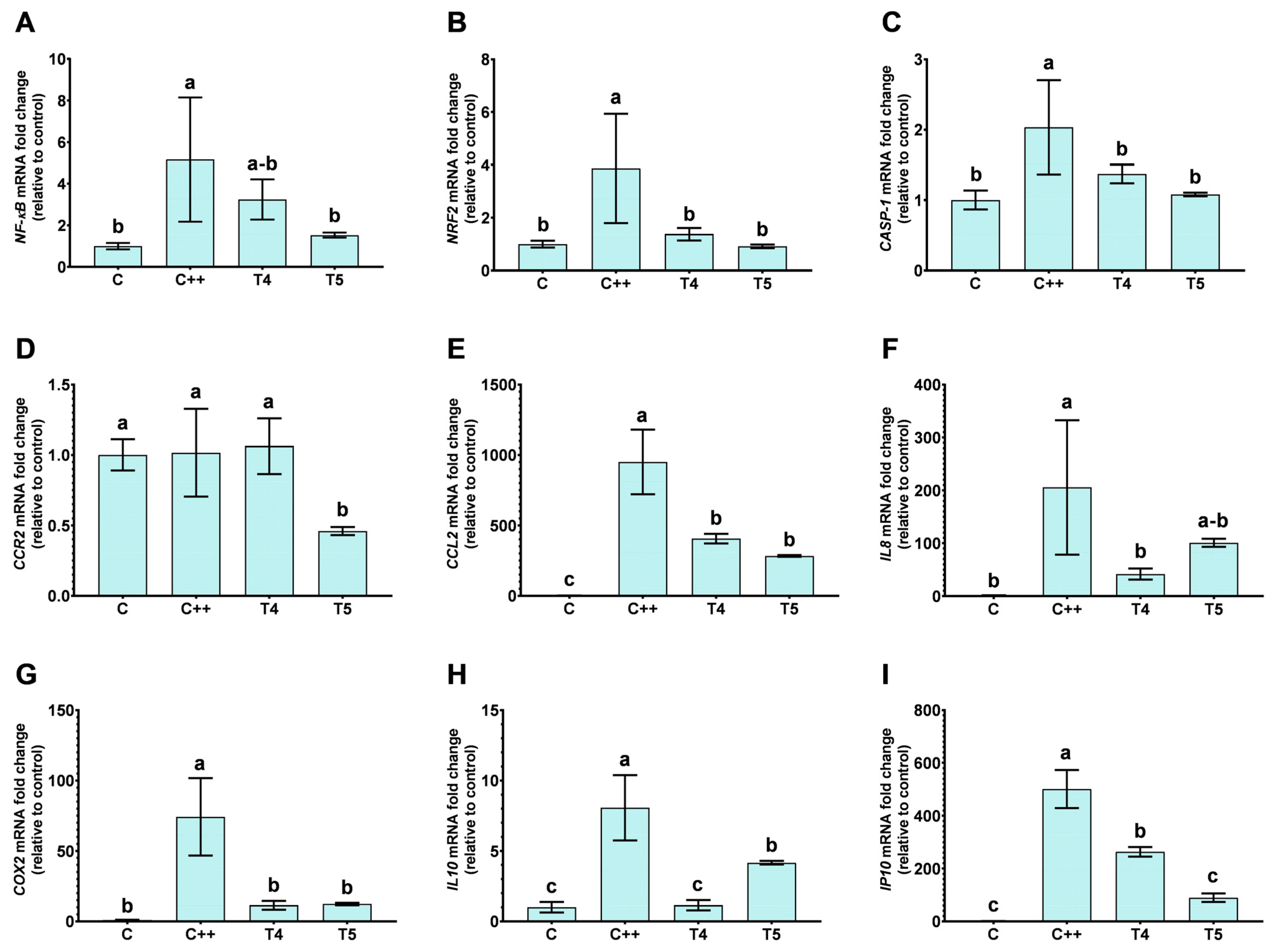 Ijms 25 12628 g005 Ijms 25 12628 g005