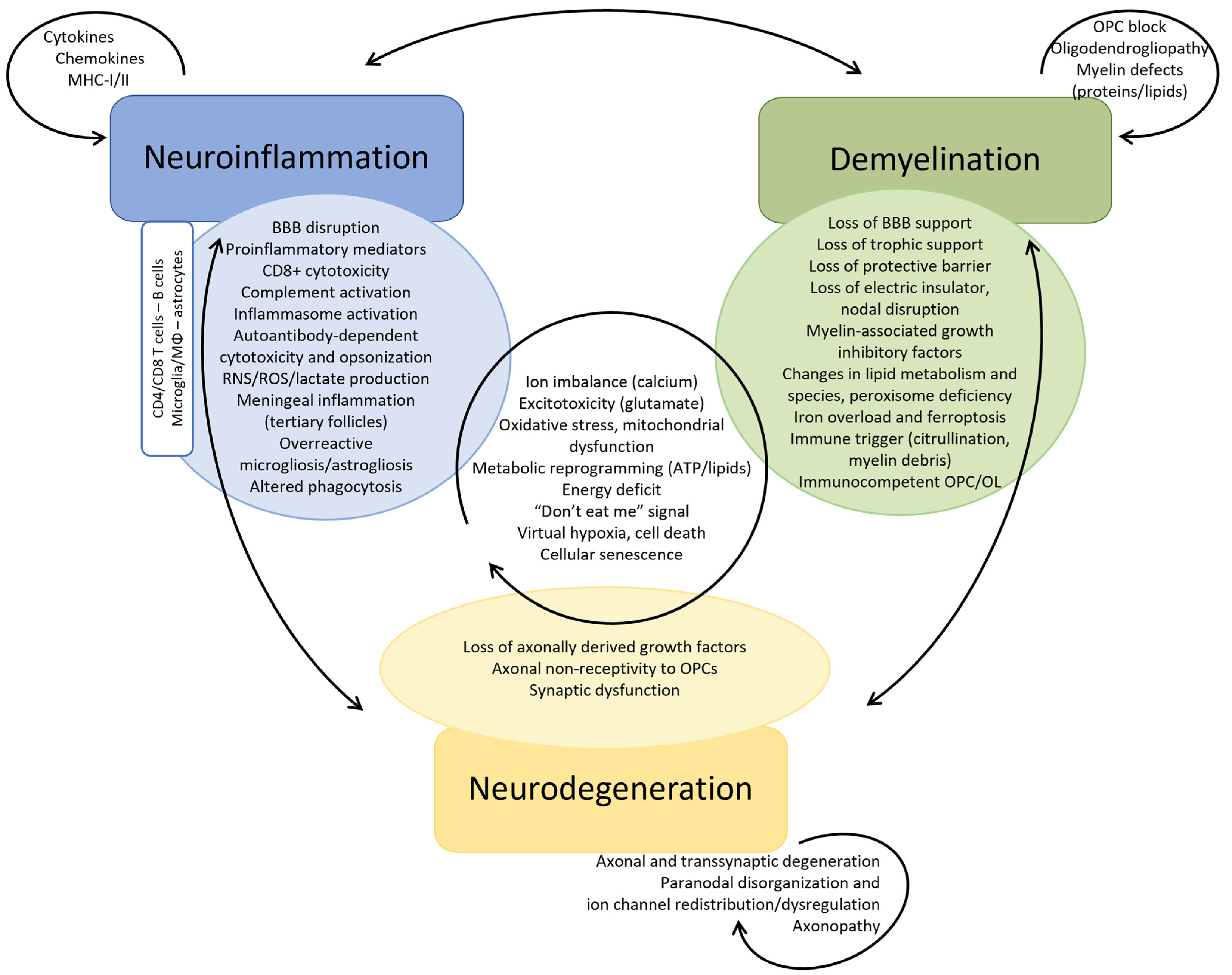 Ijms 25 12637 g003 Ijms 25 12637 g003