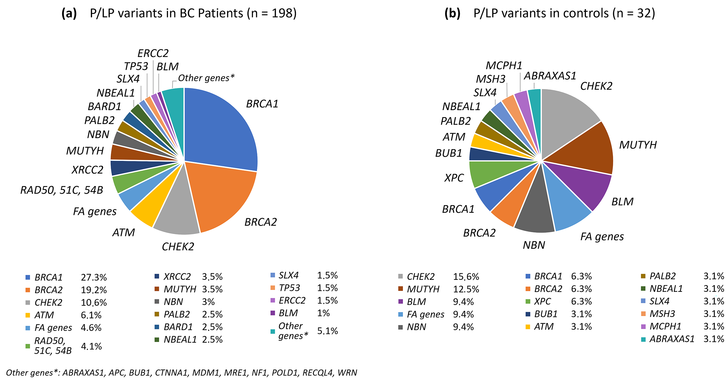 Ijms 25 12640 g001 Ijms 25 12640 g001