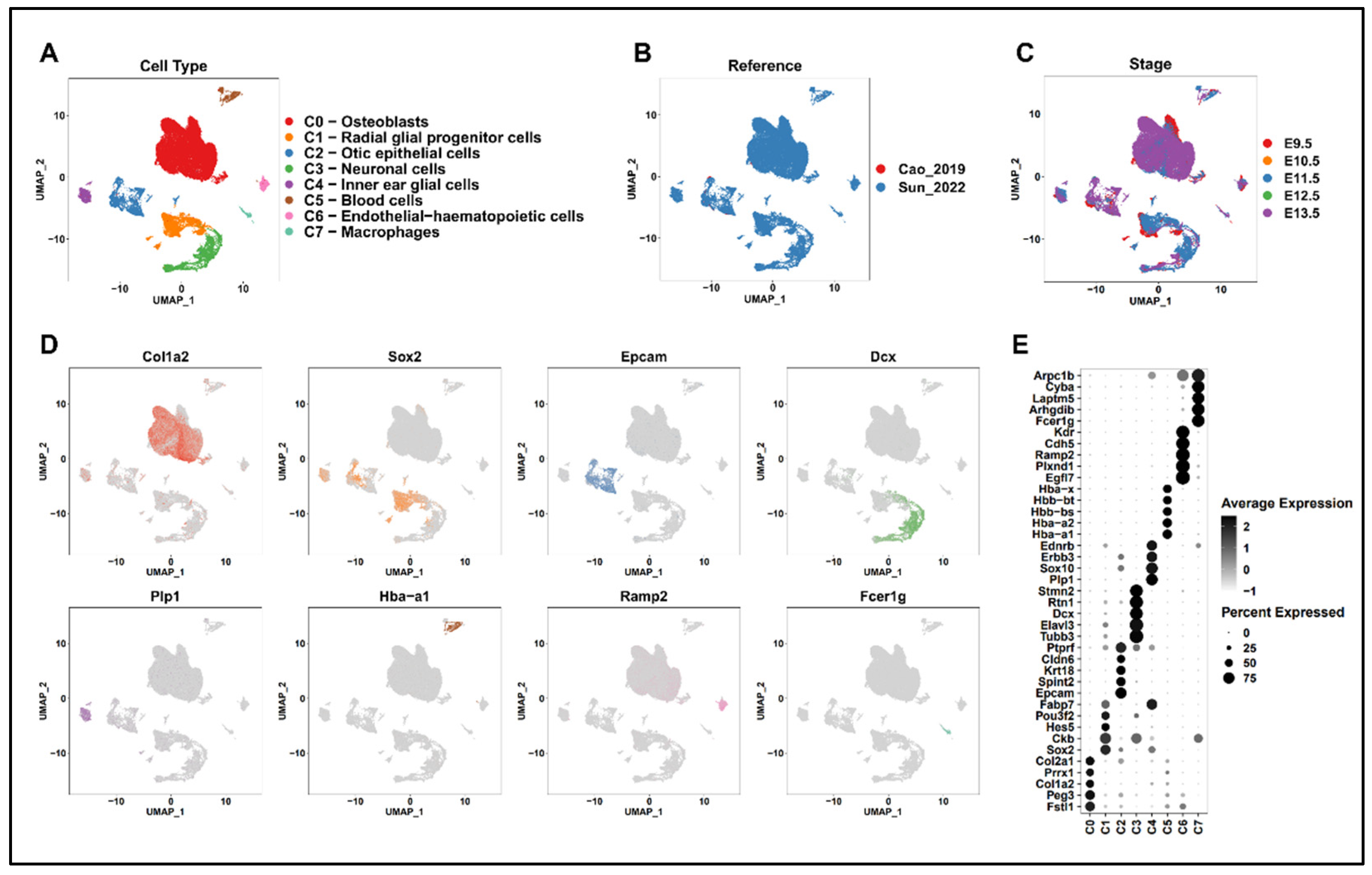 Ijms 25 12700 g002 Ijms 25 12700 g002