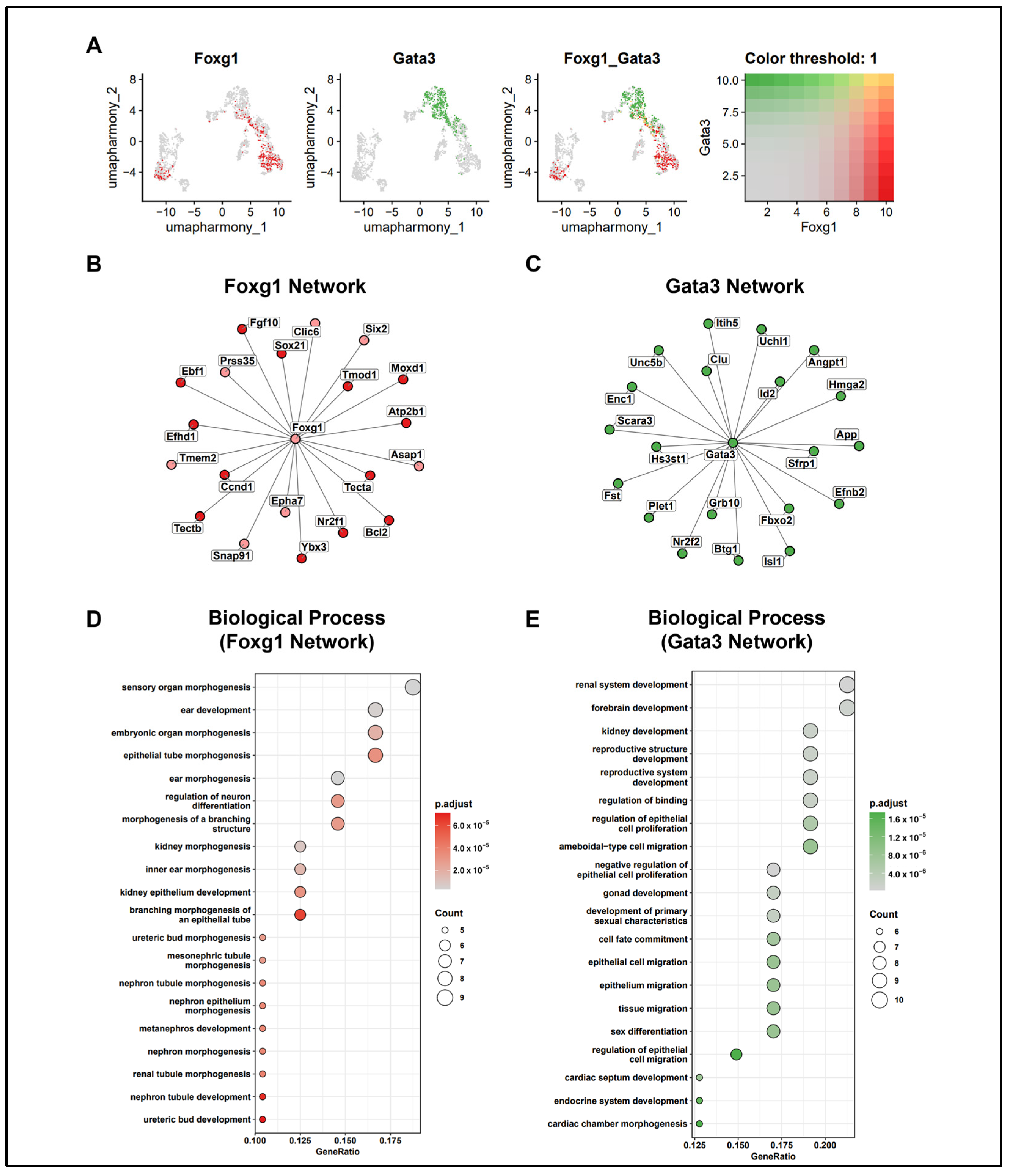 Ijms 25 12700 g004 Ijms 25 12700 g004