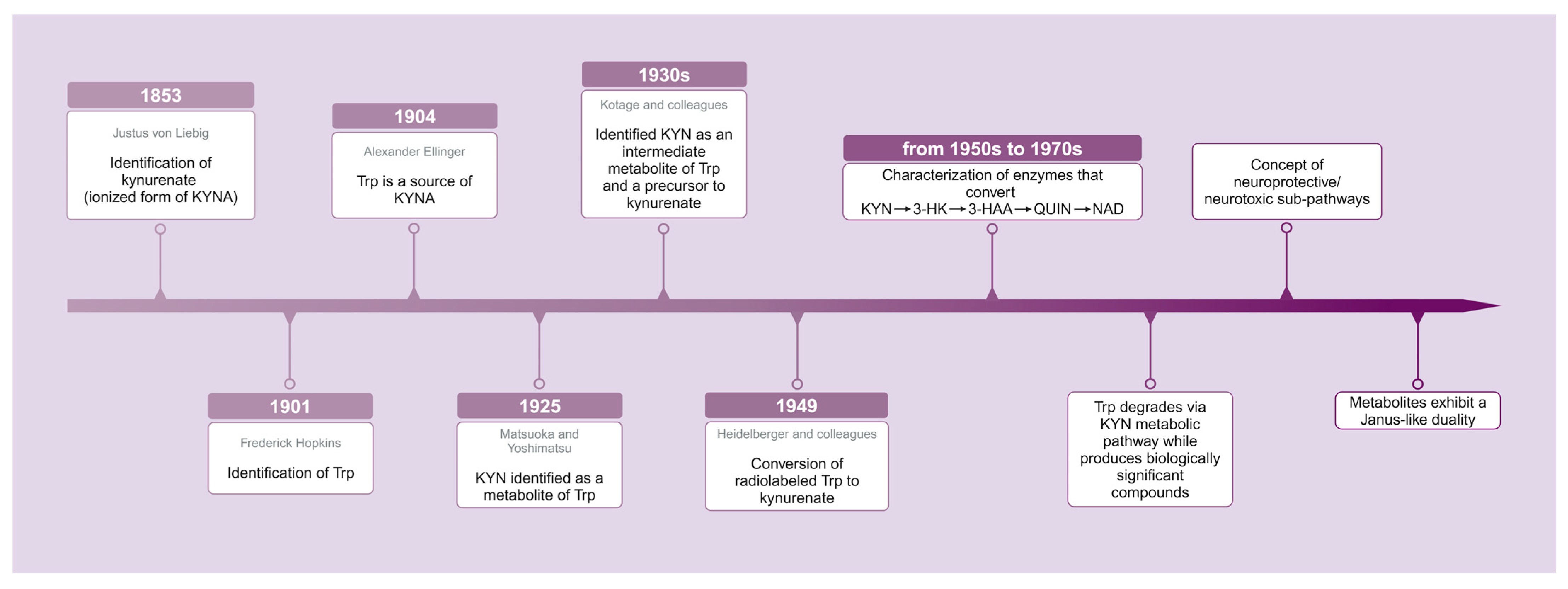 Ijms 25 12767 g001 Ijms 25 12767 g001