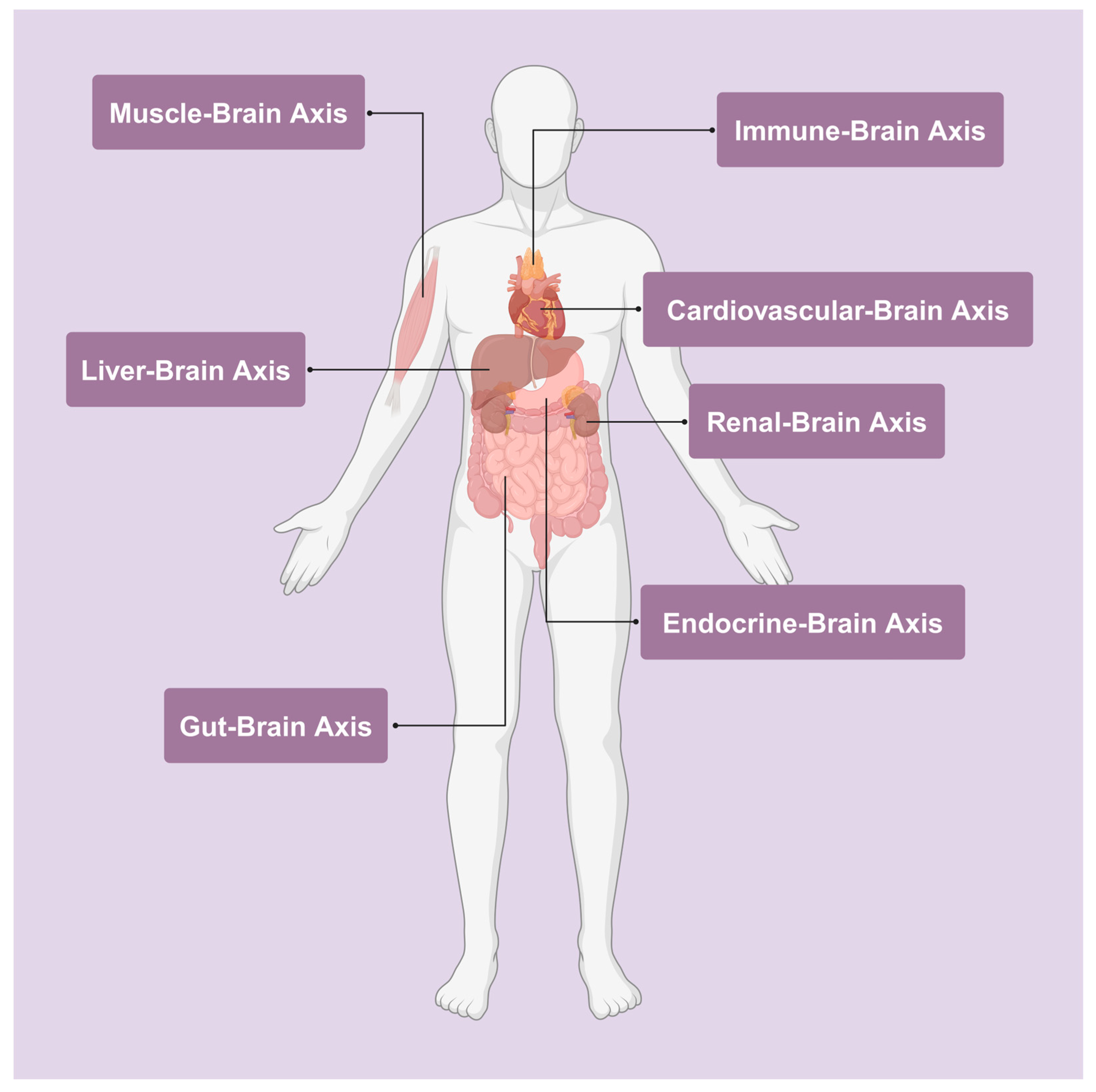 Ijms 25 12767 g003 Ijms 25 12767 g003