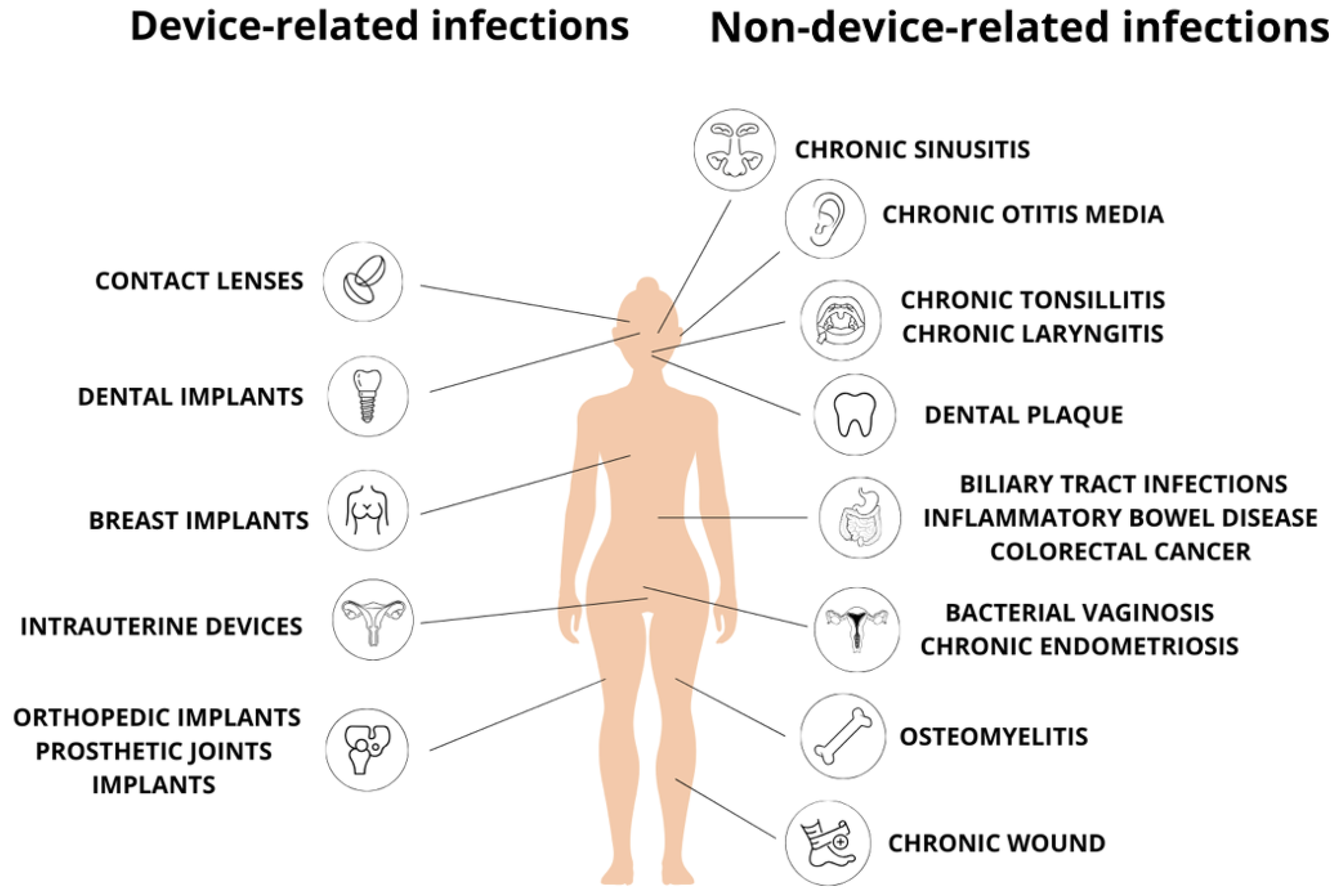 Ijms 25 12808 g002 Ijms 25 12808 g002