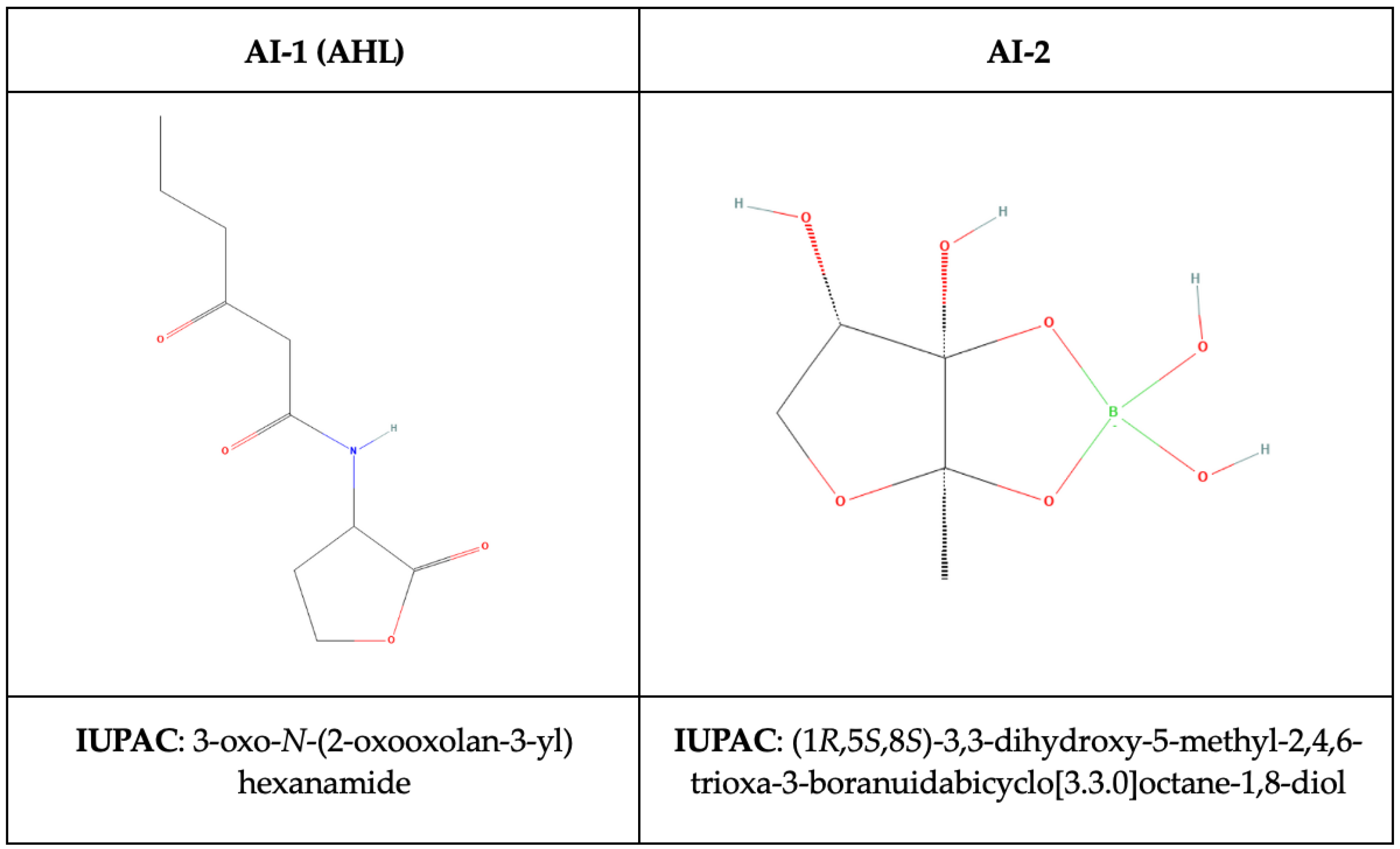 Ijms 25 12808 g004 Ijms 25 12808 g004