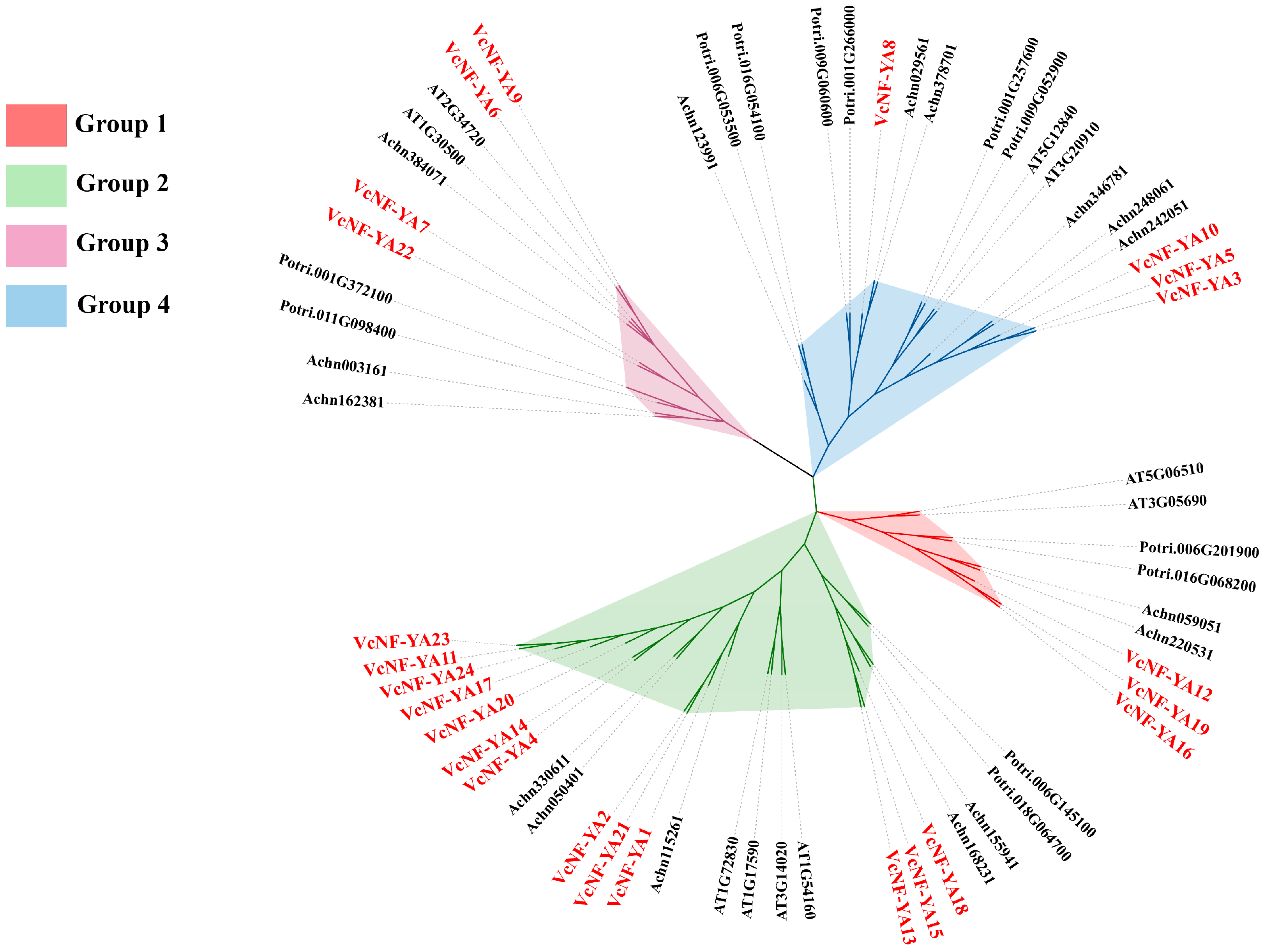 Ijms 25 12832 g001 Ijms 25 12832 g001