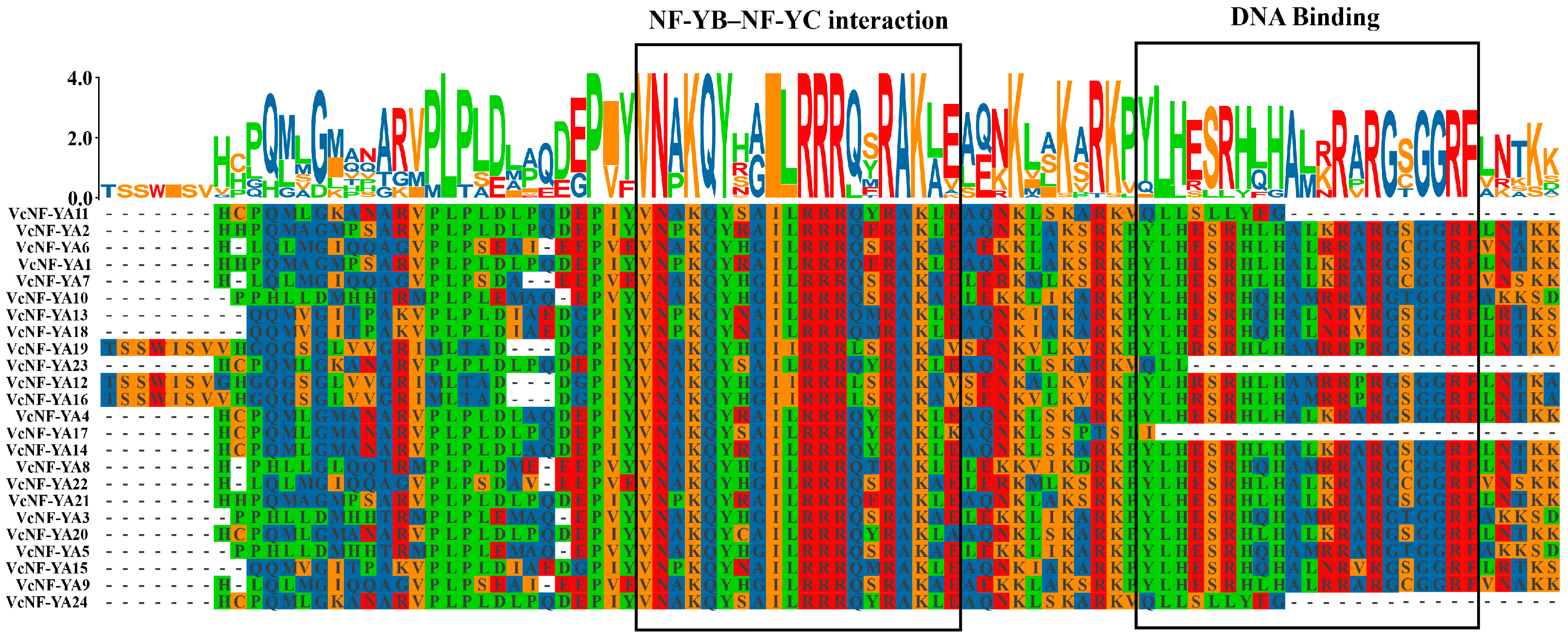 Ijms 25 12832 g003 Ijms 25 12832 g003