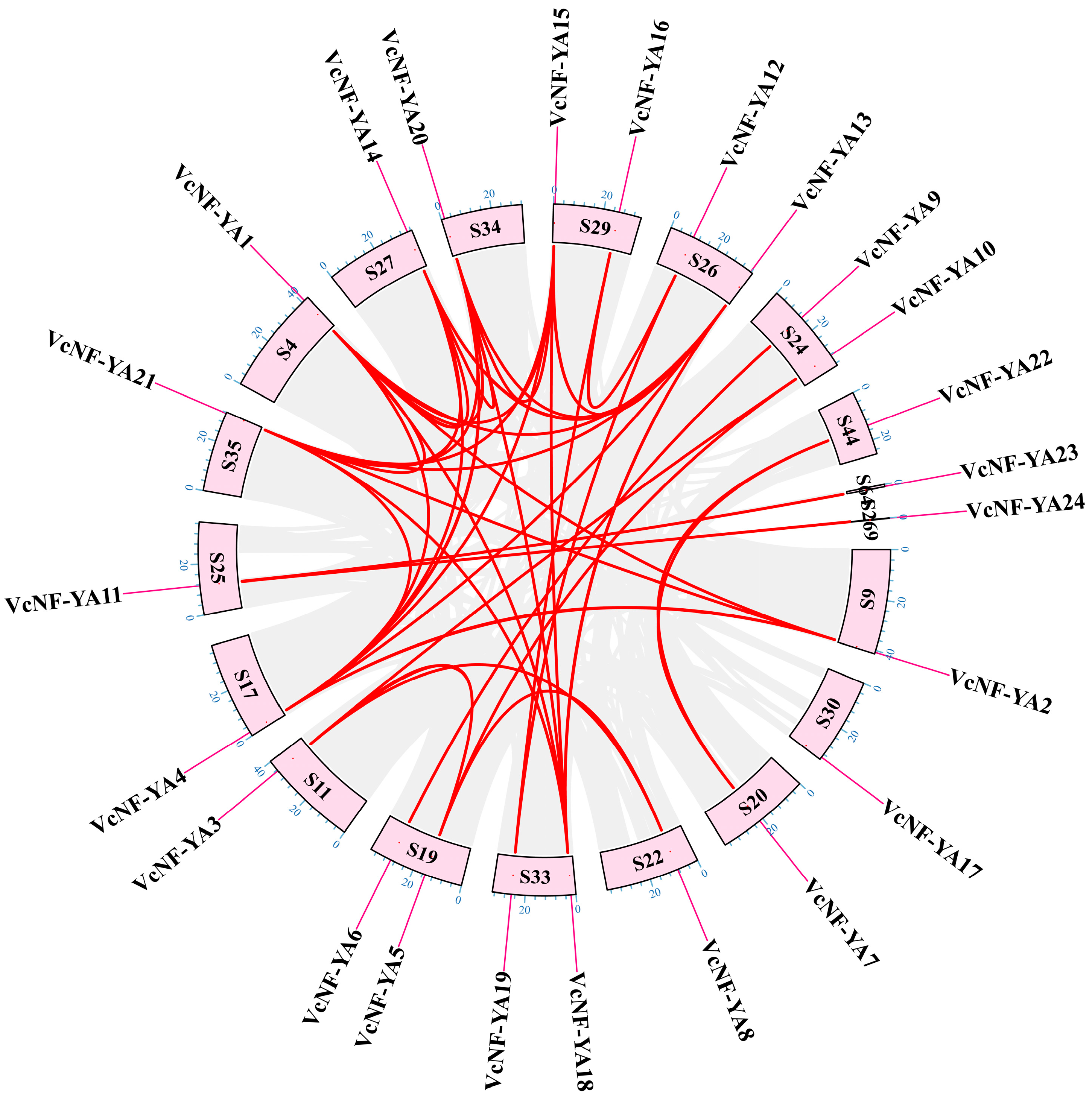 Ijms 25 12832 g004 Ijms 25 12832 g004