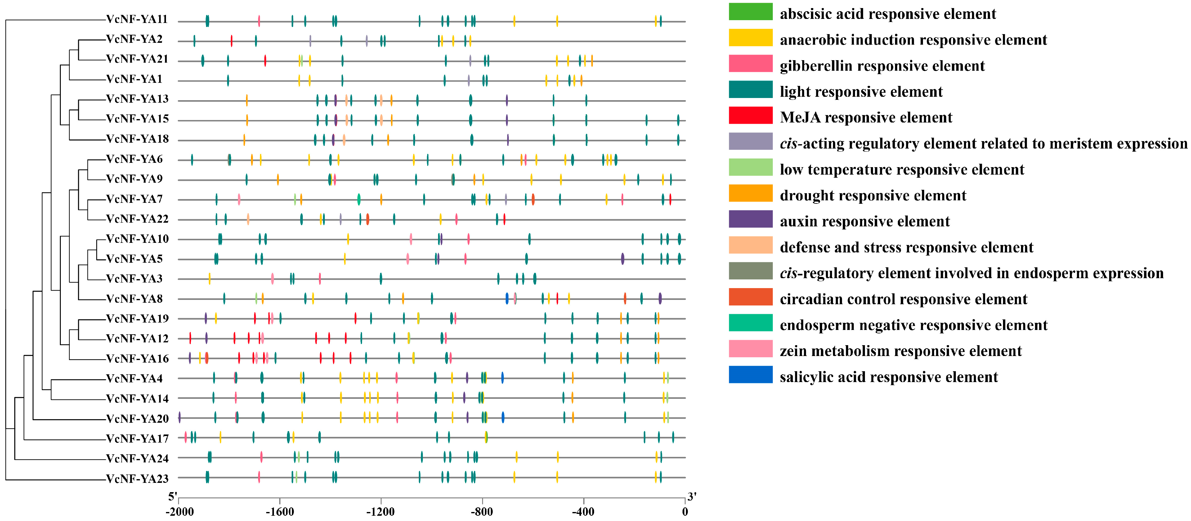Ijms 25 12832 g006 Ijms 25 12832 g006