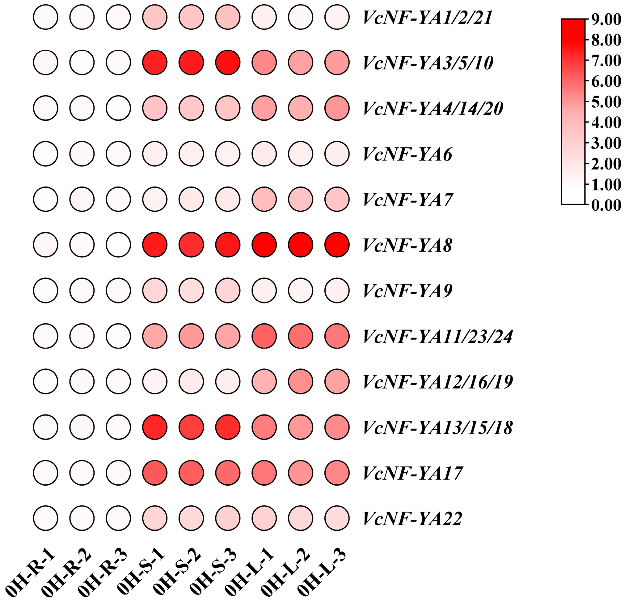 Ijms 25 12832 g007 Ijms 25 12832 g007
