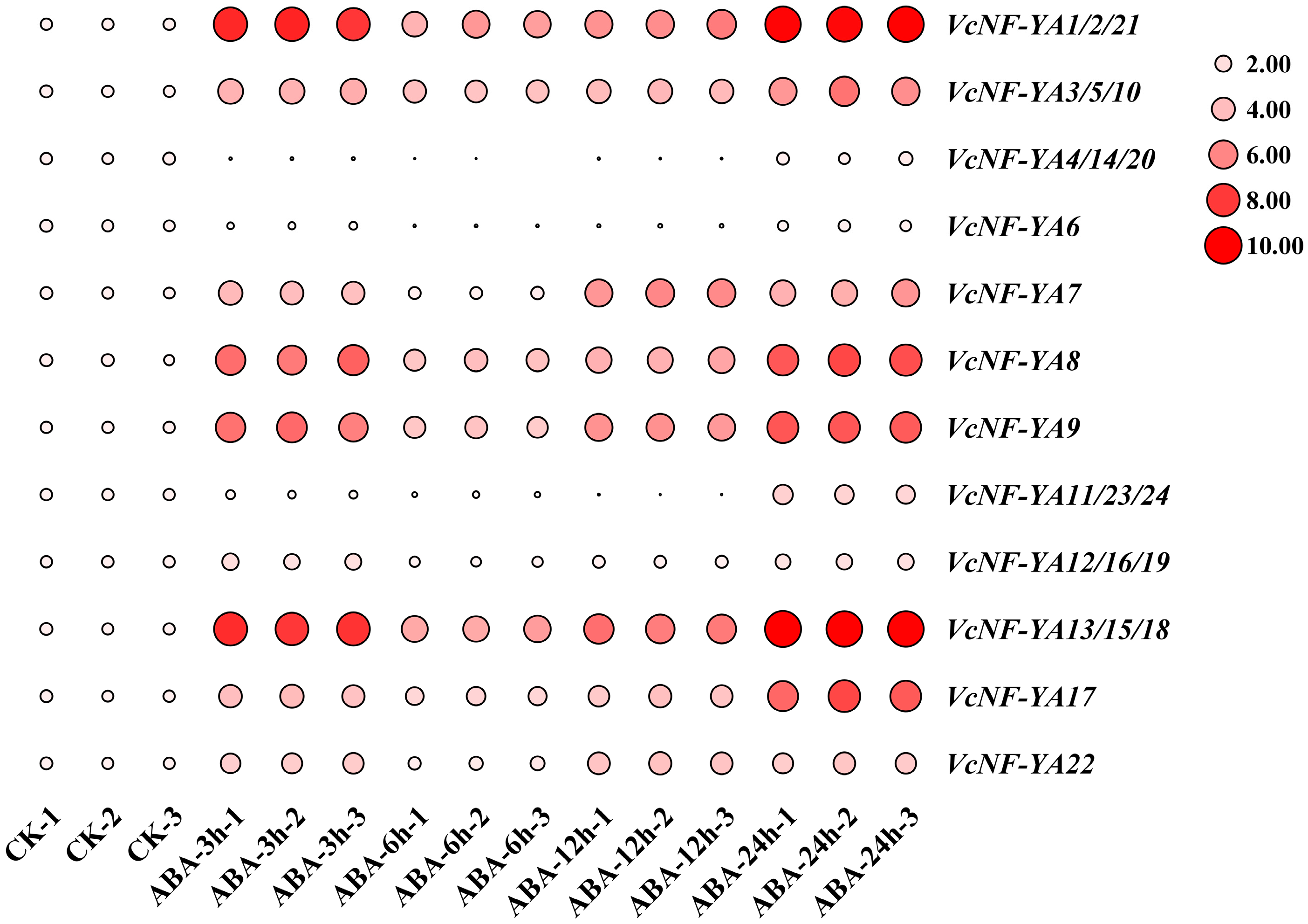 Ijms 25 12832 g008 Ijms 25 12832 g008
