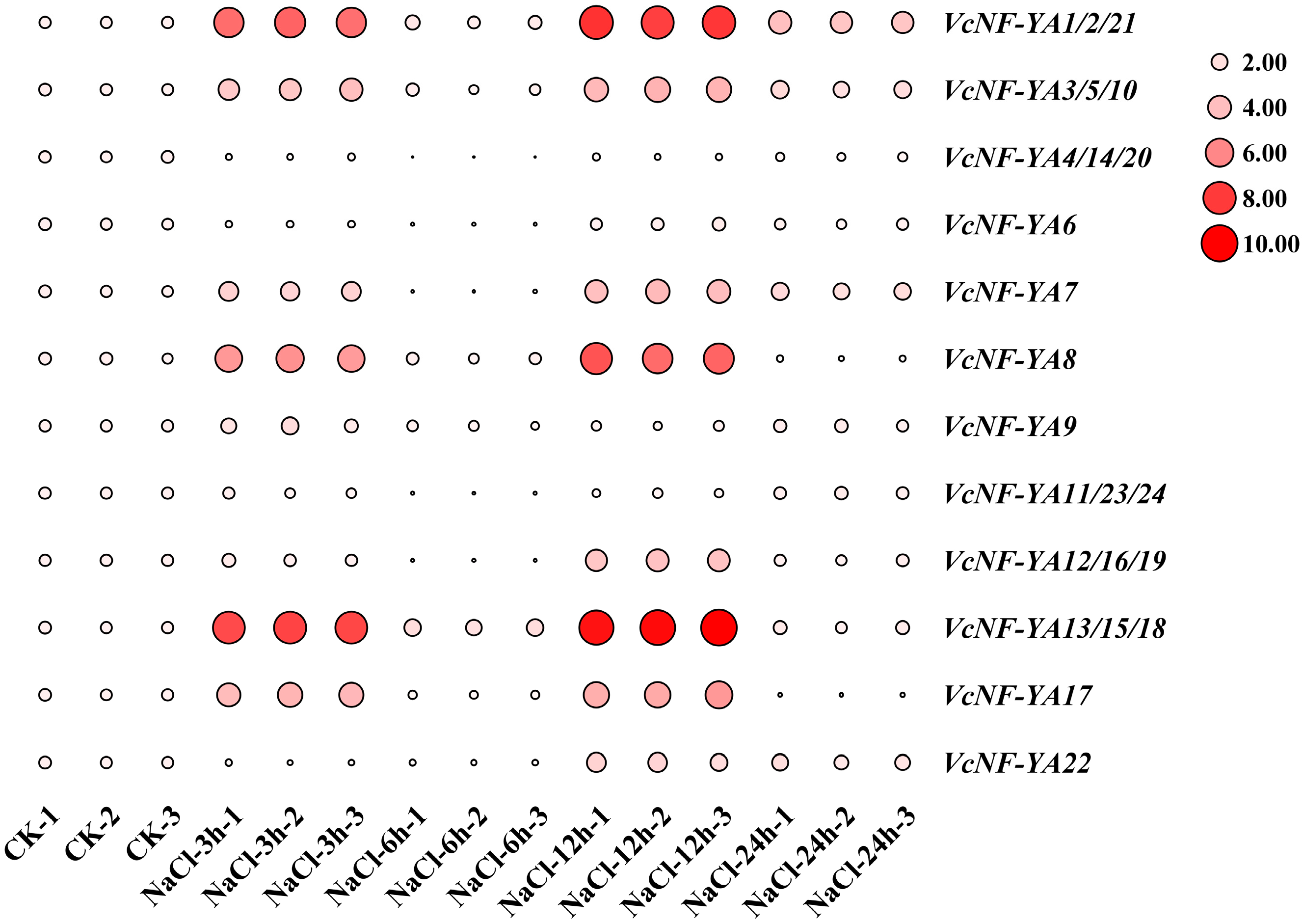 Ijms 25 12832 g009 Ijms 25 12832 g009