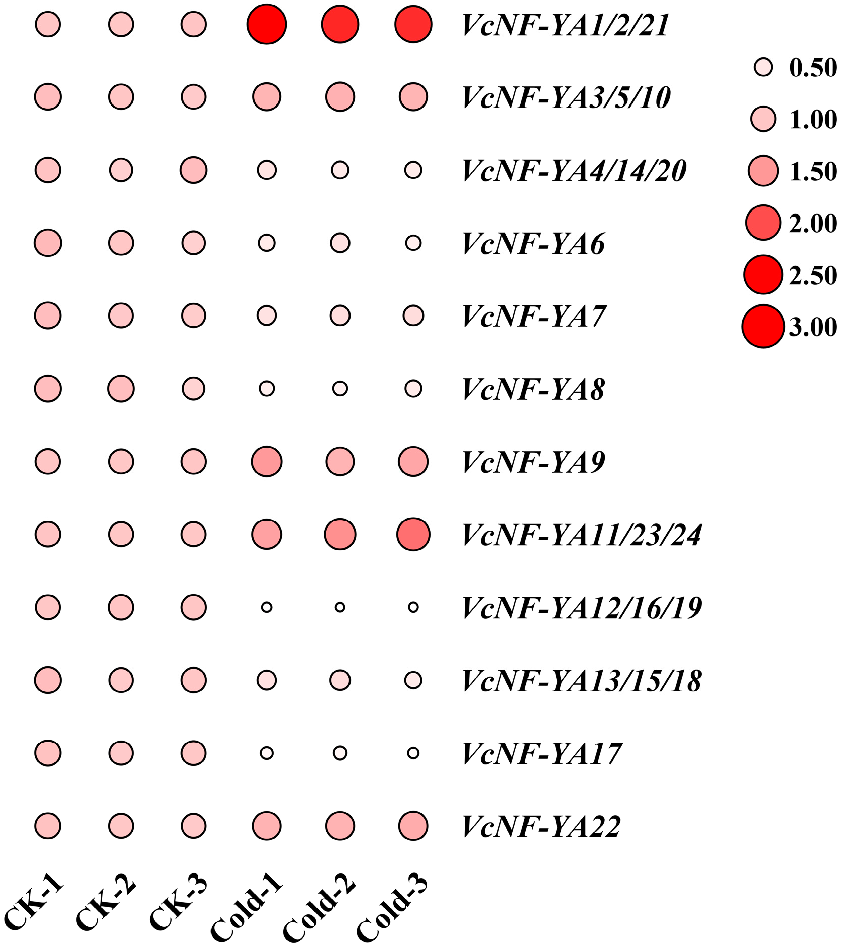 Ijms 25 12832 g010 Ijms 25 12832 g010