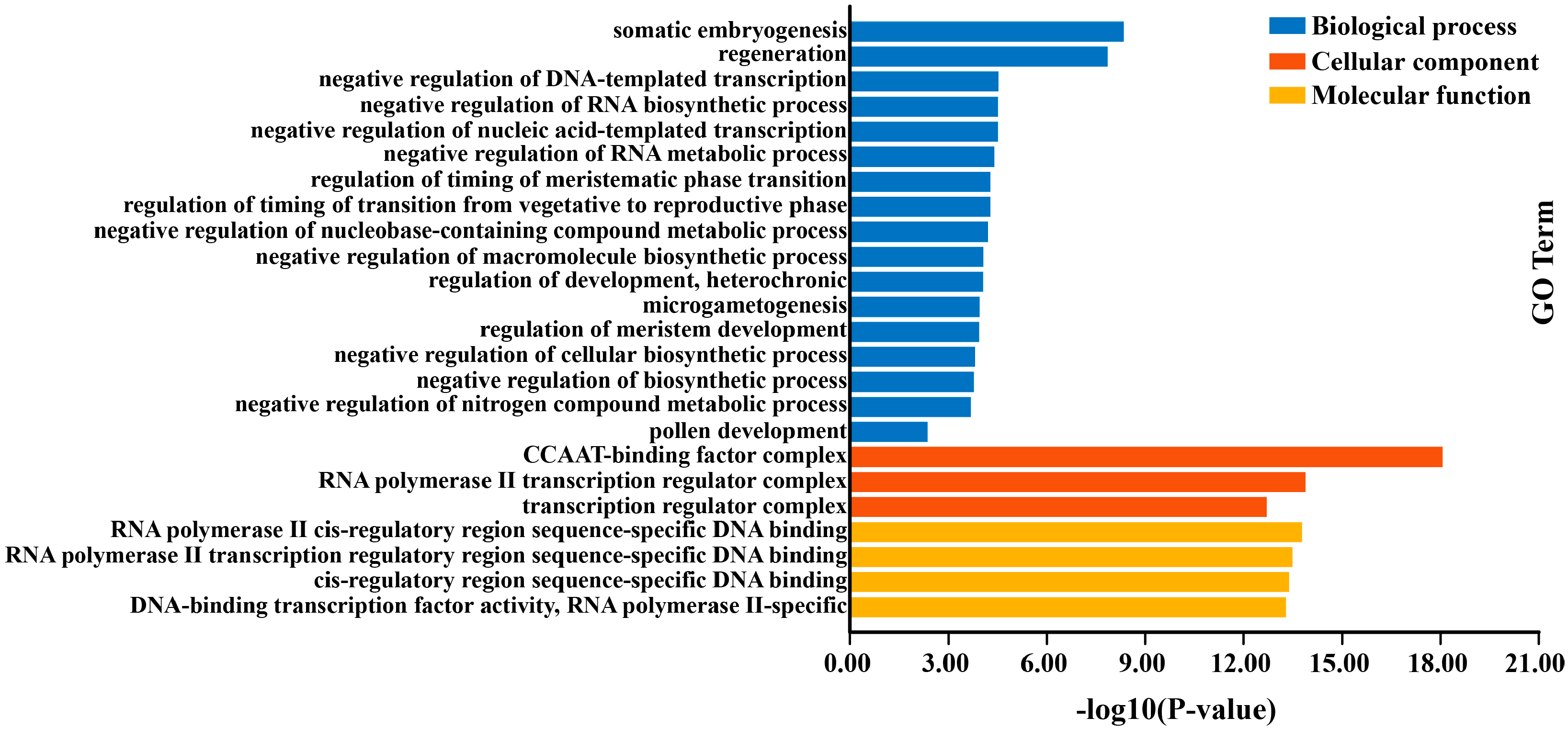 Ijms 25 12832 g011 Ijms 25 12832 g011