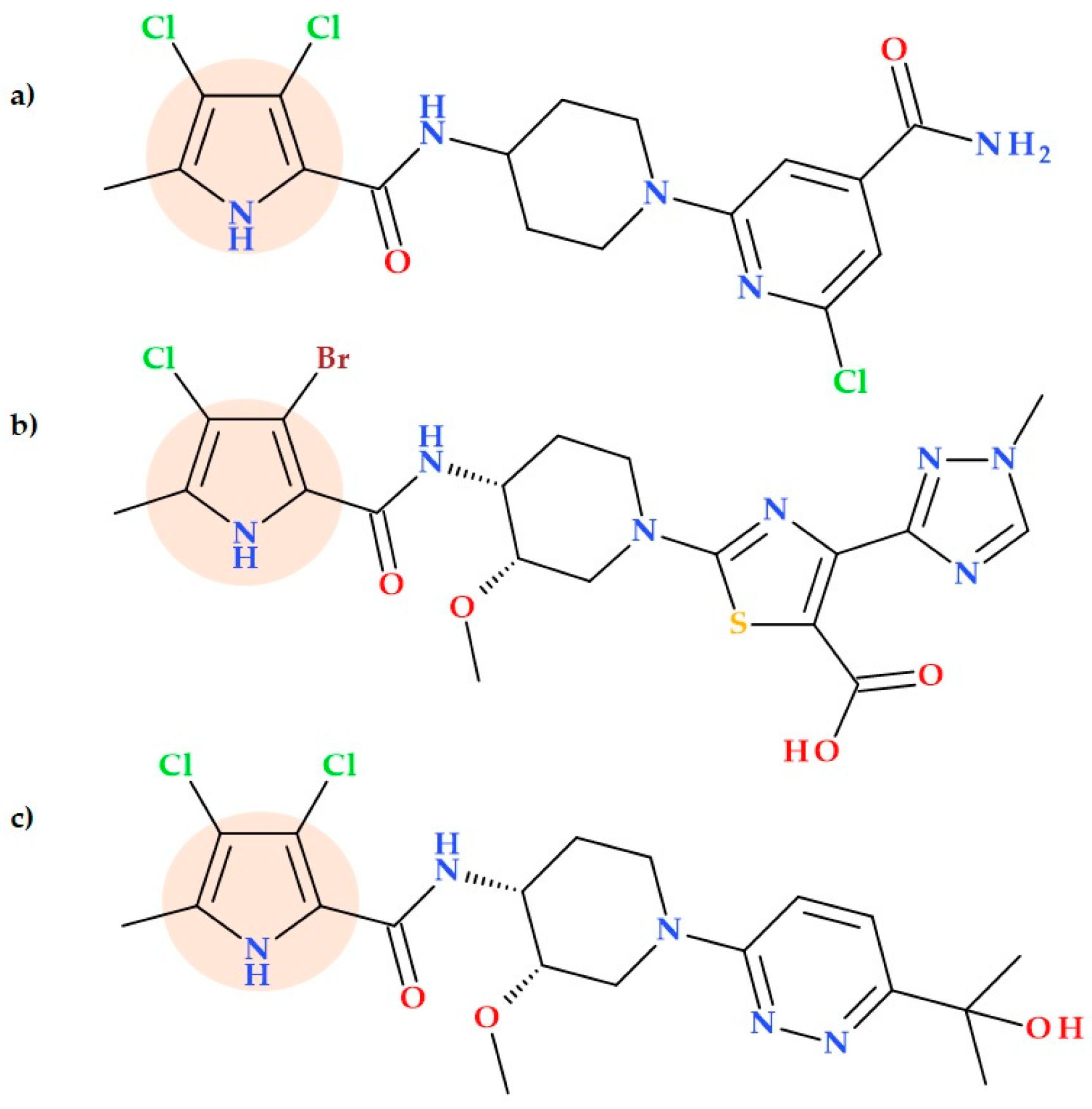 Ijms 25 12873 g015 Ijms 25 12873 g015