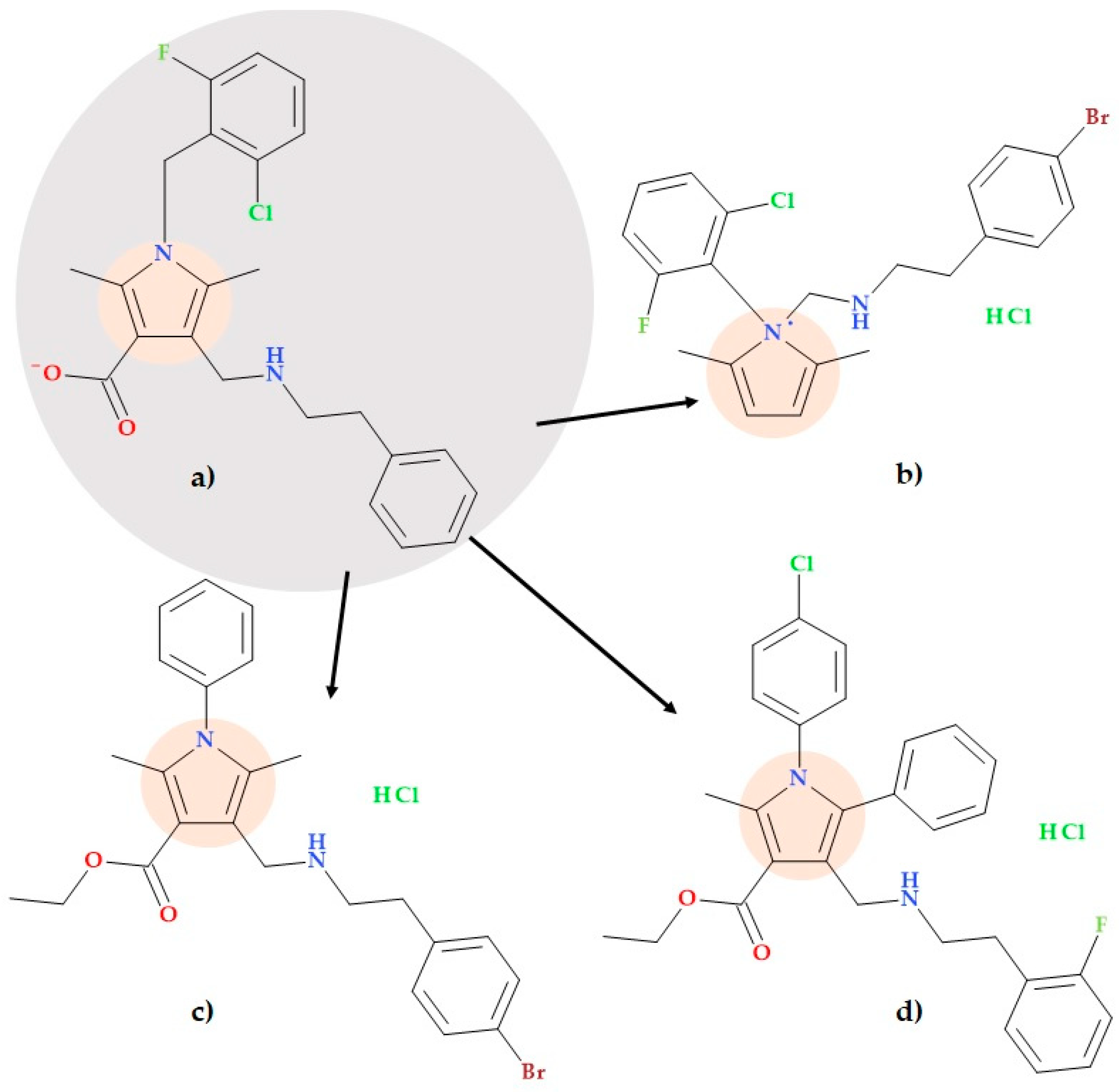 Ijms 25 12873 g019 Ijms 25 12873 g019