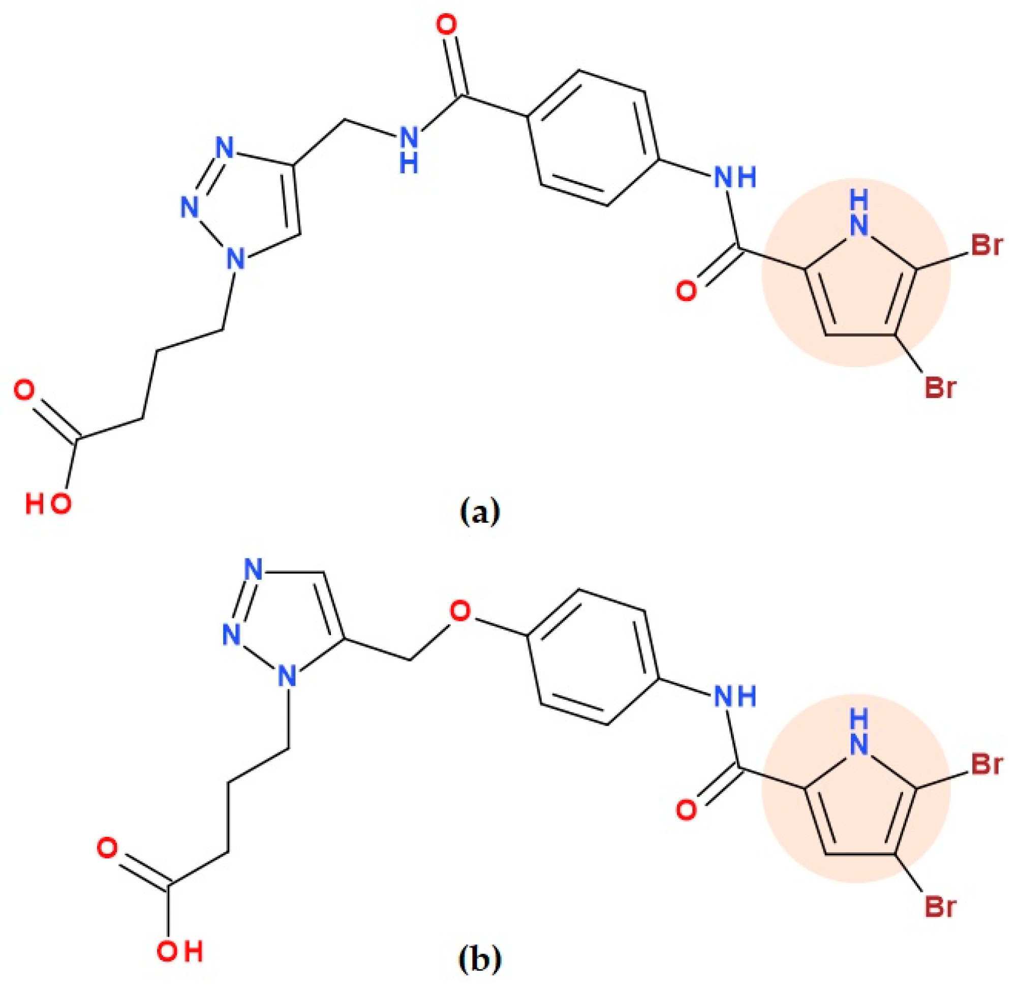 Ijms 25 12873 g030 Ijms 25 12873 g030