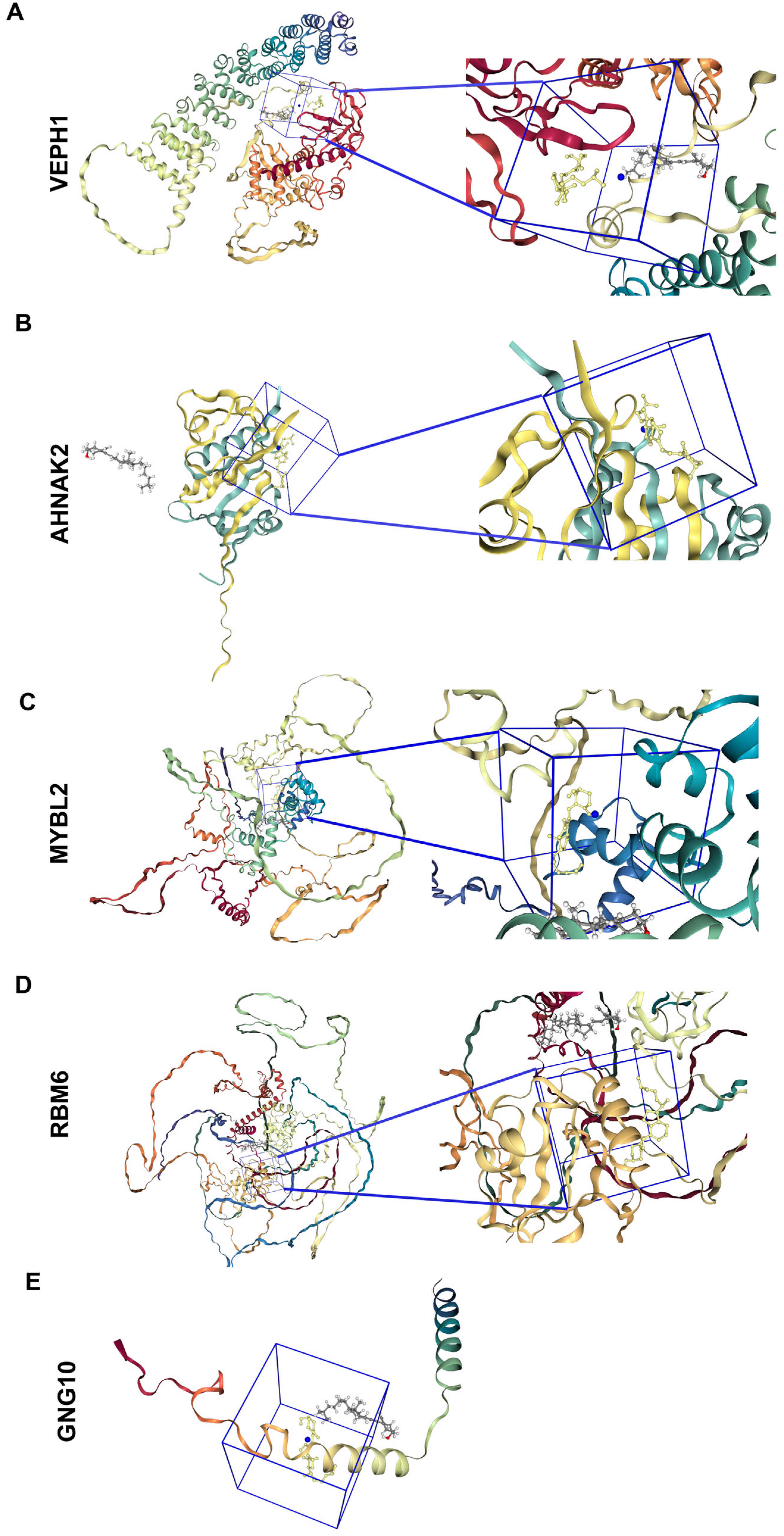 Ijms 25 12952 g005