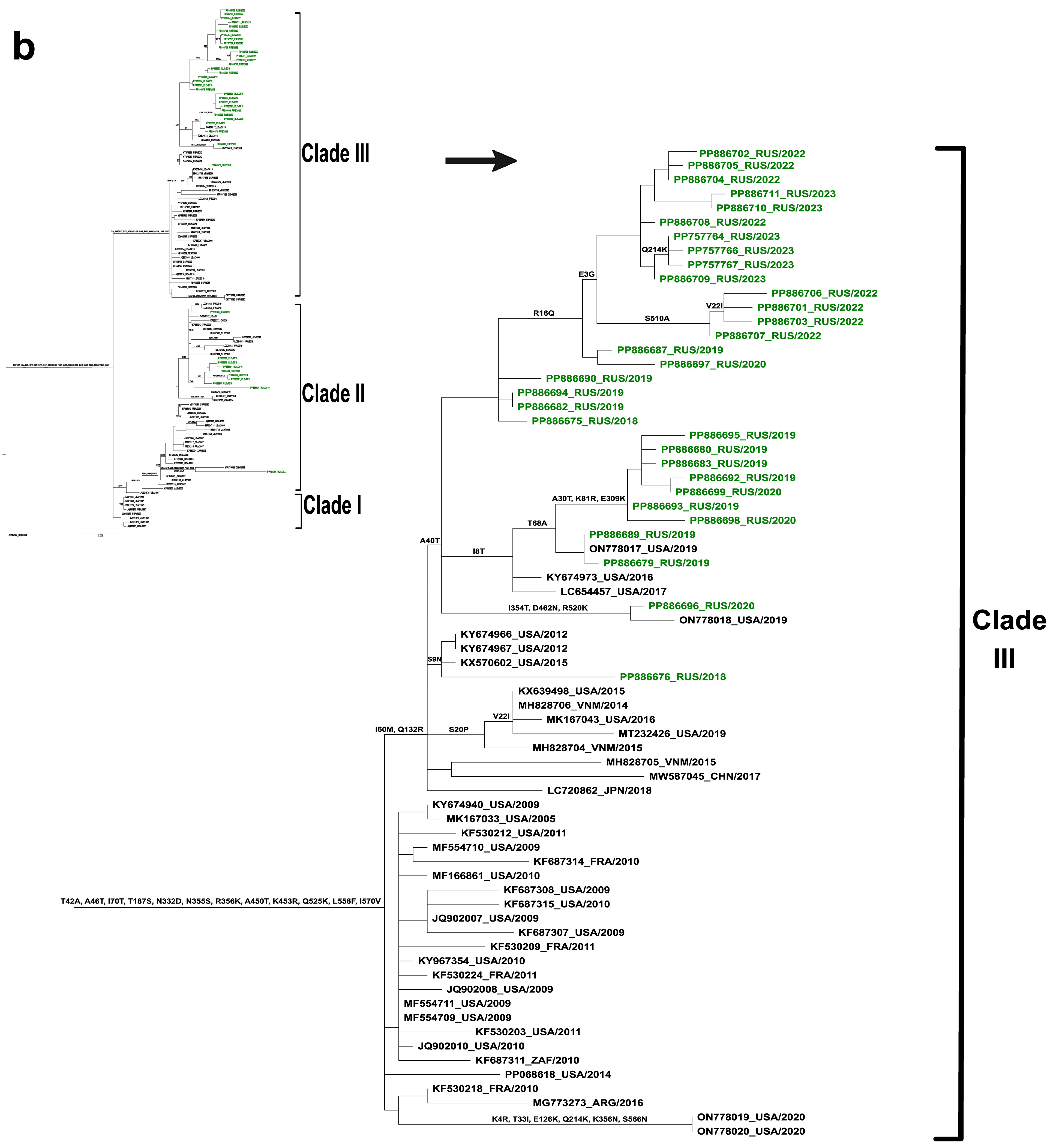 Ijms 25 13119 g007b Ijms 25 13119 g007b