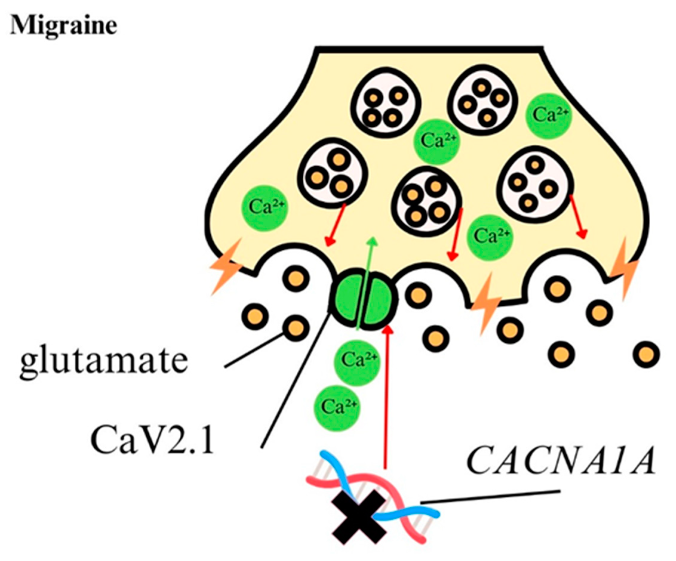 Ijms 25 13133 g004 Ijms 25 13133 g004