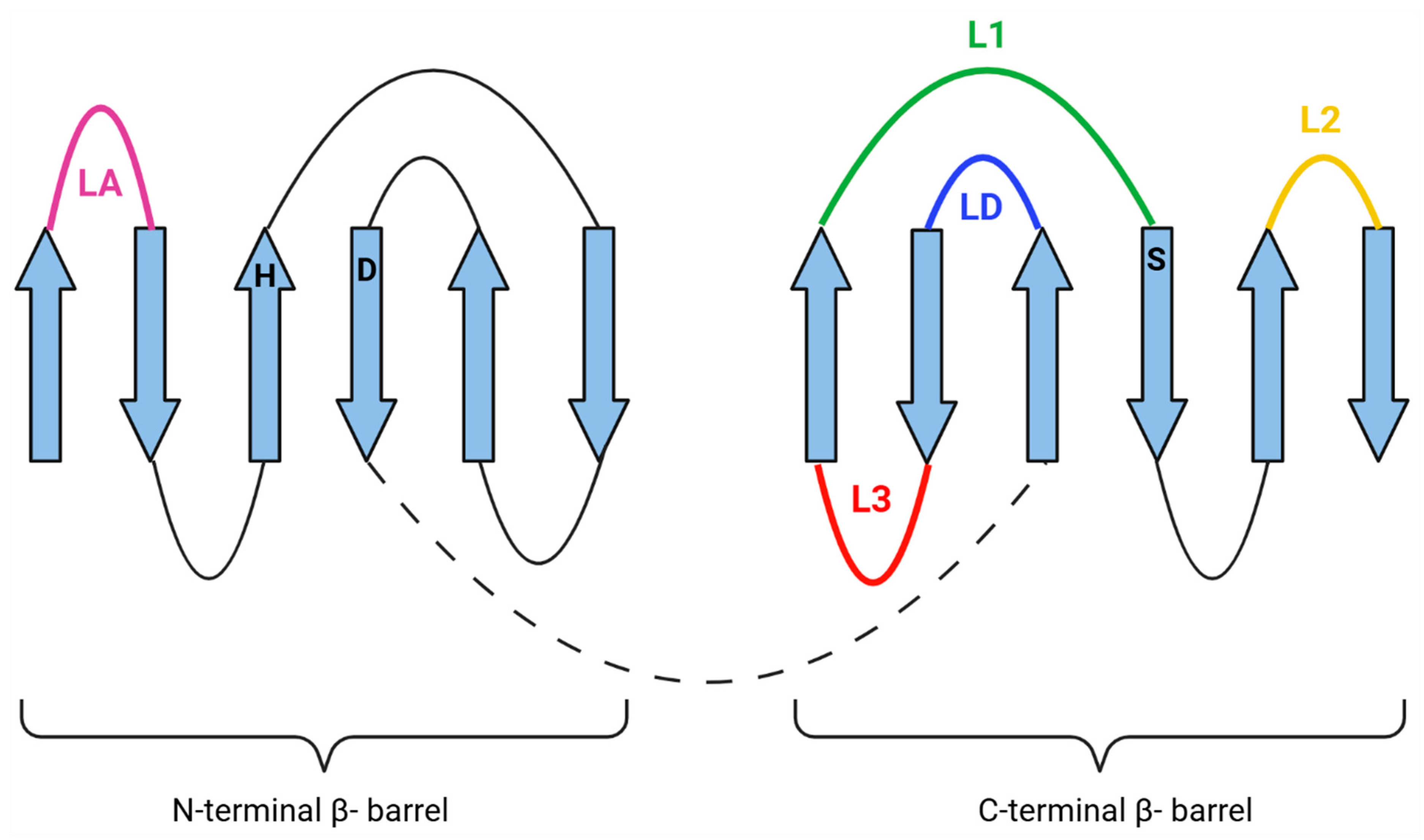 Ijms 25 13182 g003 Ijms 25 13182 g003