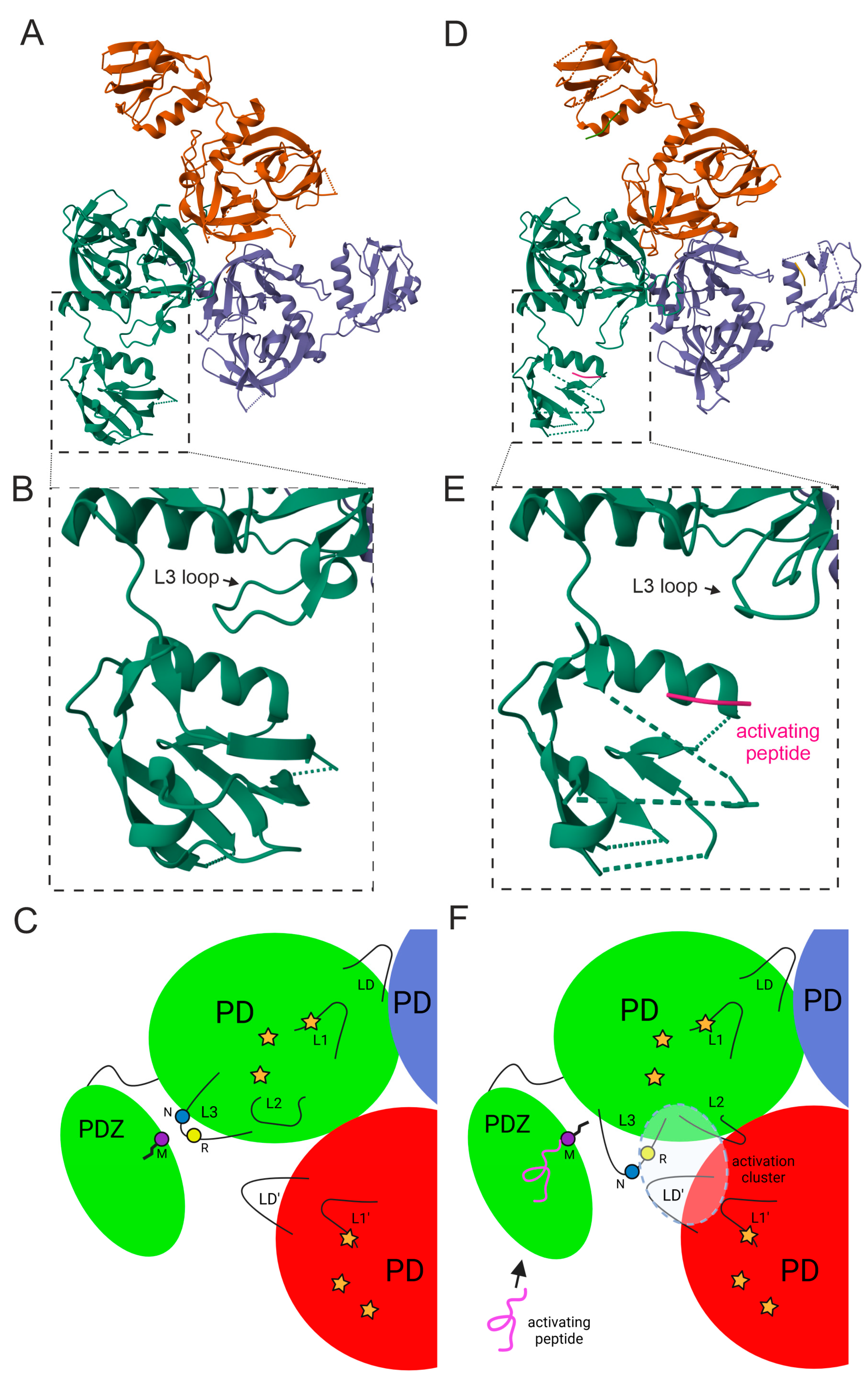 Ijms 25 13182 g006 Ijms 25 13182 g006