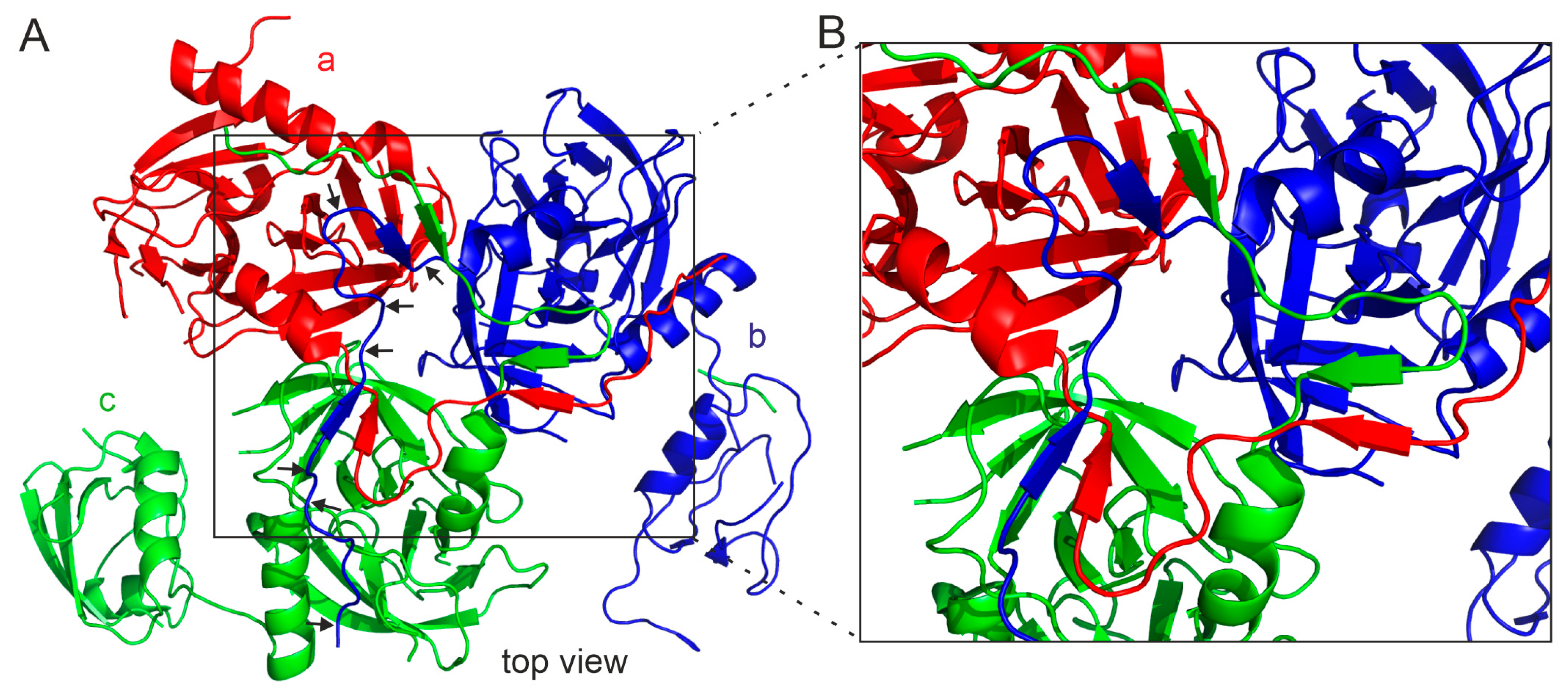 Ijms 25 13182 g008 Ijms 25 13182 g008