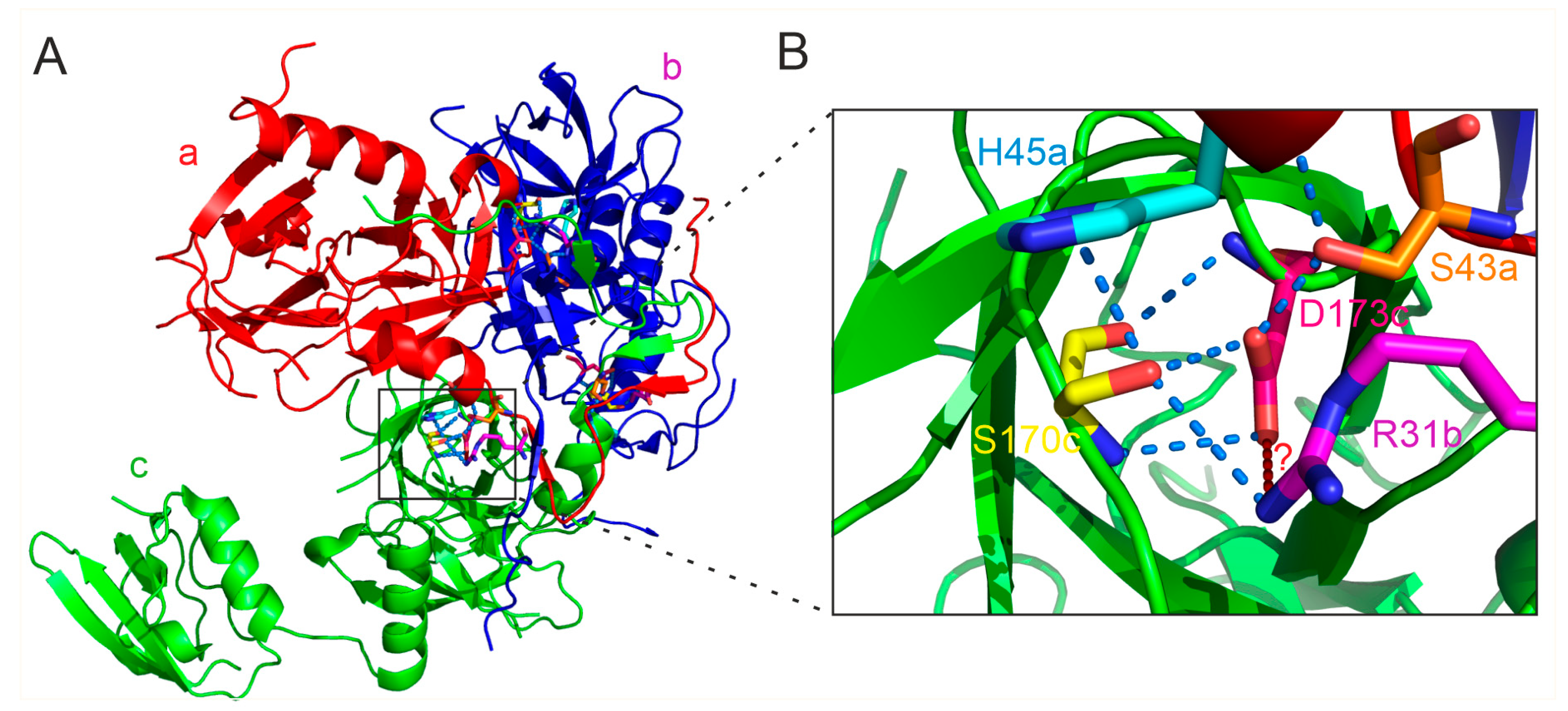 Ijms 25 13182 g009 Ijms 25 13182 g009