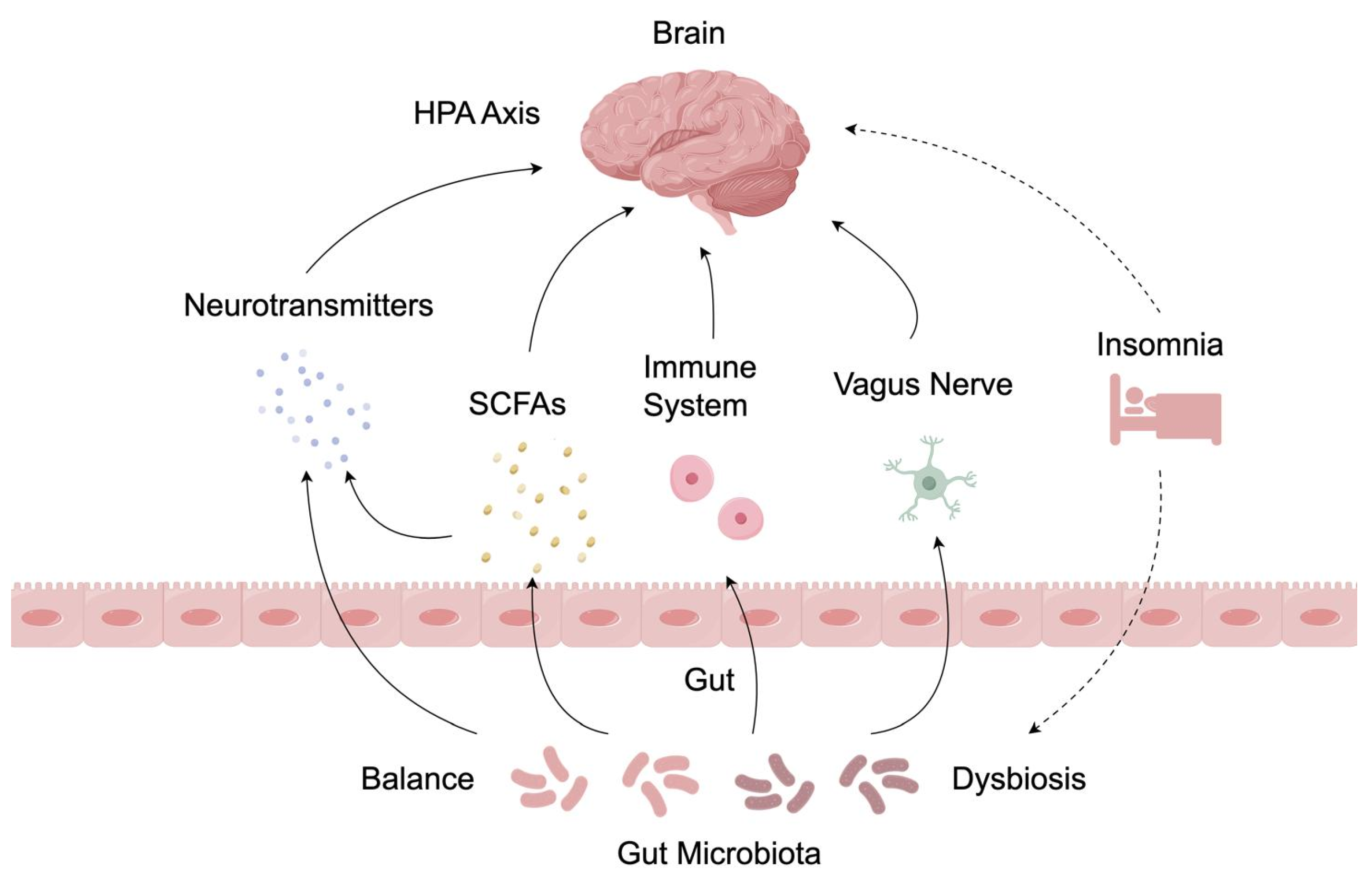 Ijms 25 13208 g001 Ijms 25 13208 g001