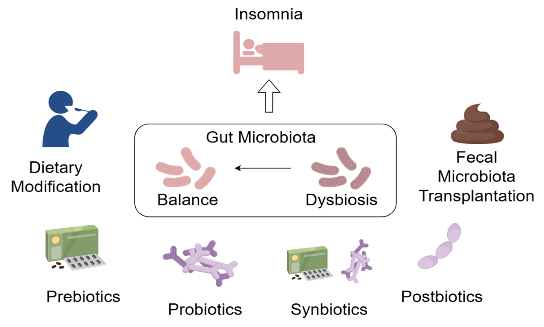 Ijms 25 13208 g002 Ijms 25 13208 g002