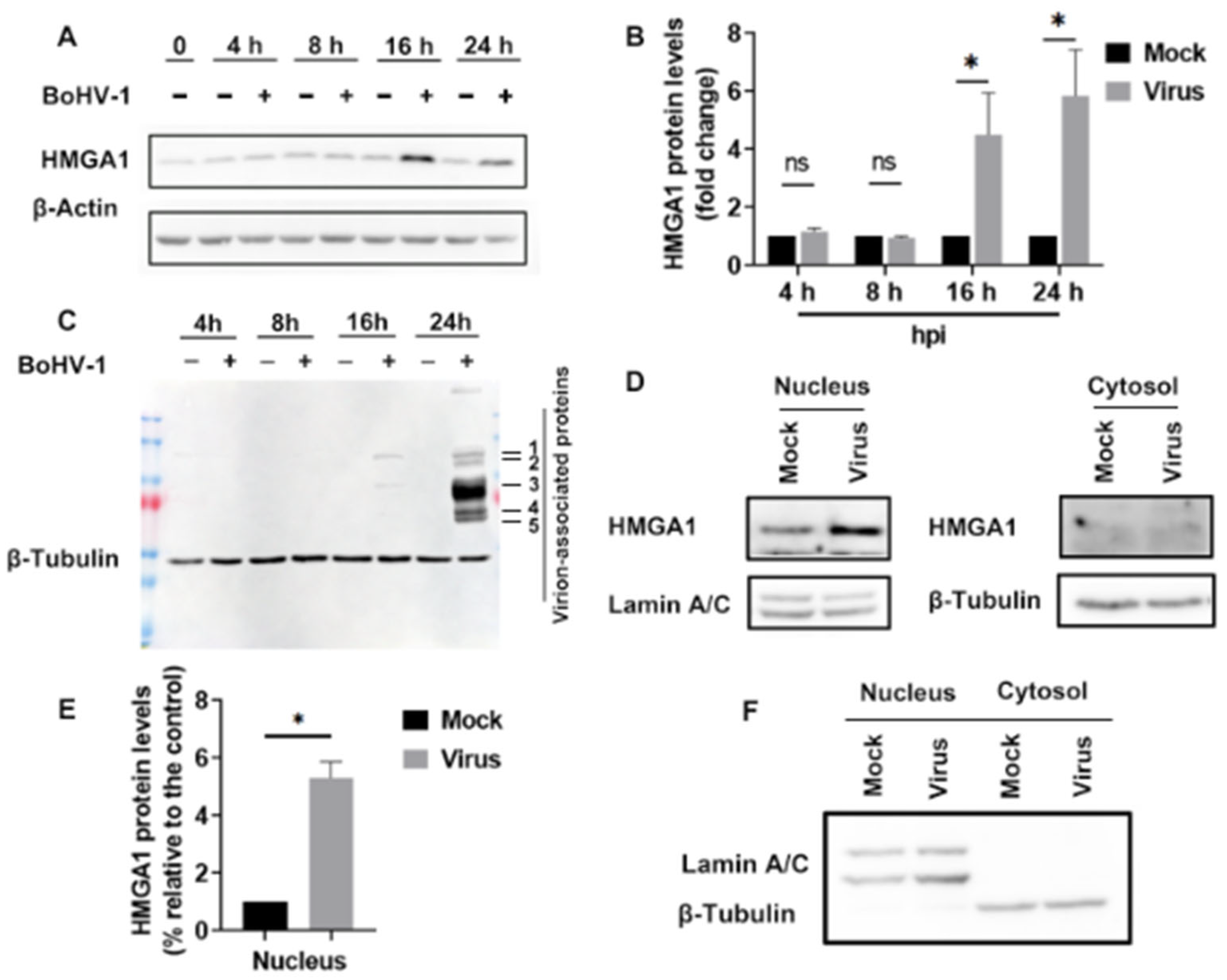 Ijms 25 13265 g001 Ijms 25 13265 g001