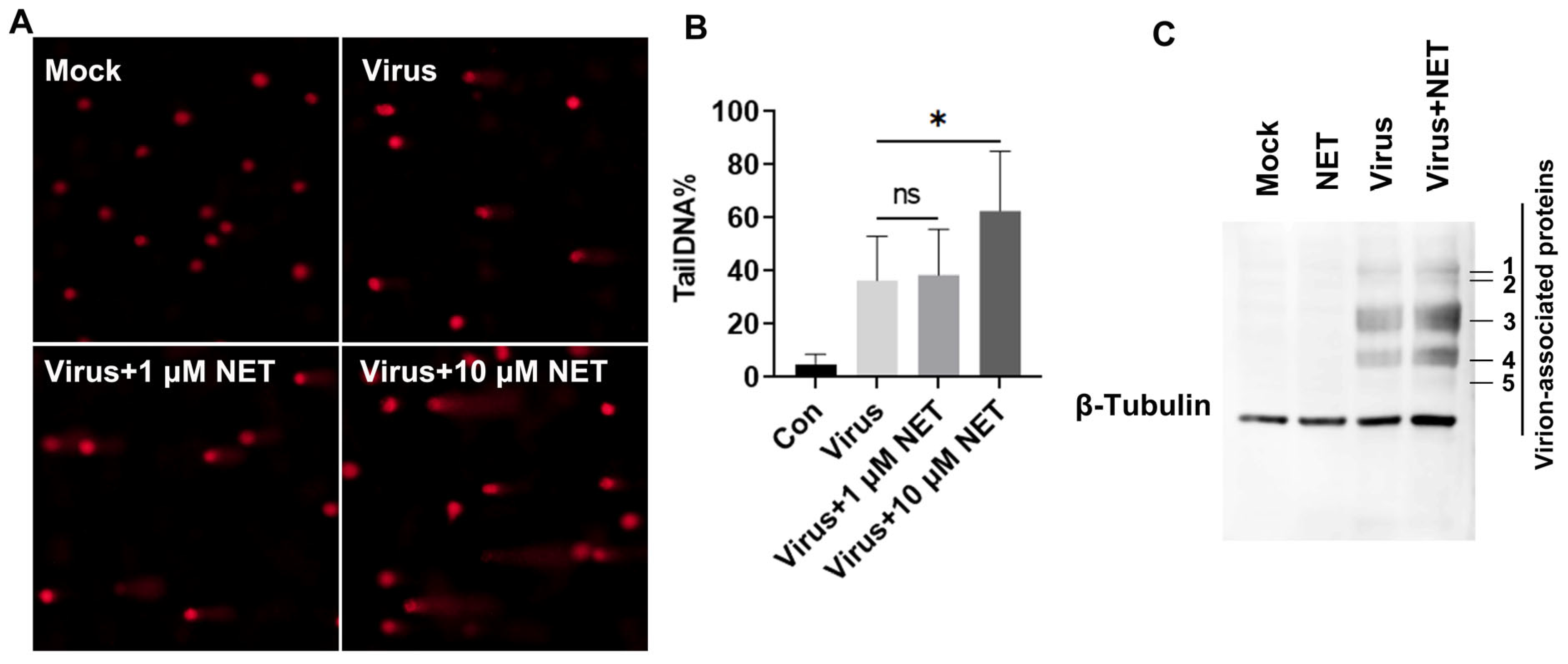 Ijms 25 13265 g002 Ijms 25 13265 g002