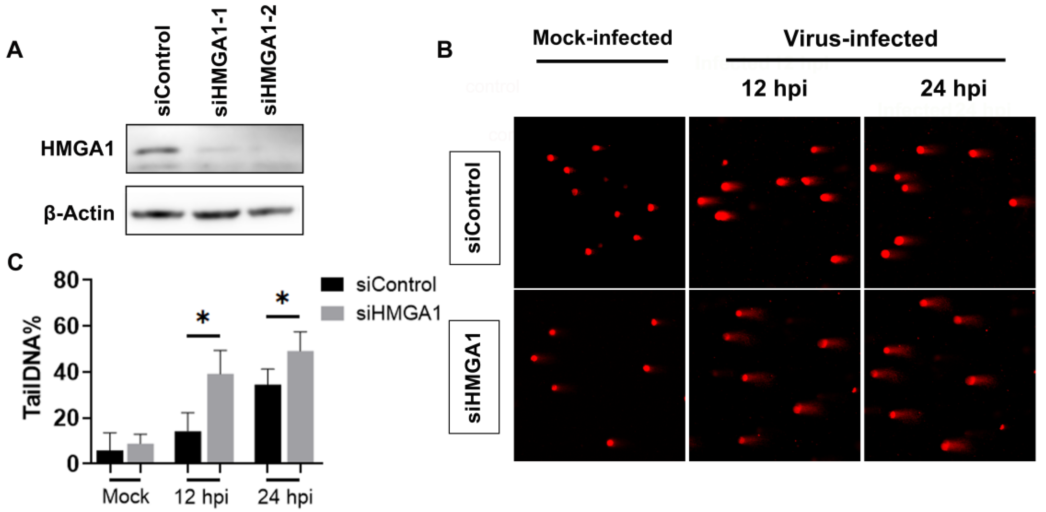 Ijms 25 13265 g003 Ijms 25 13265 g003
