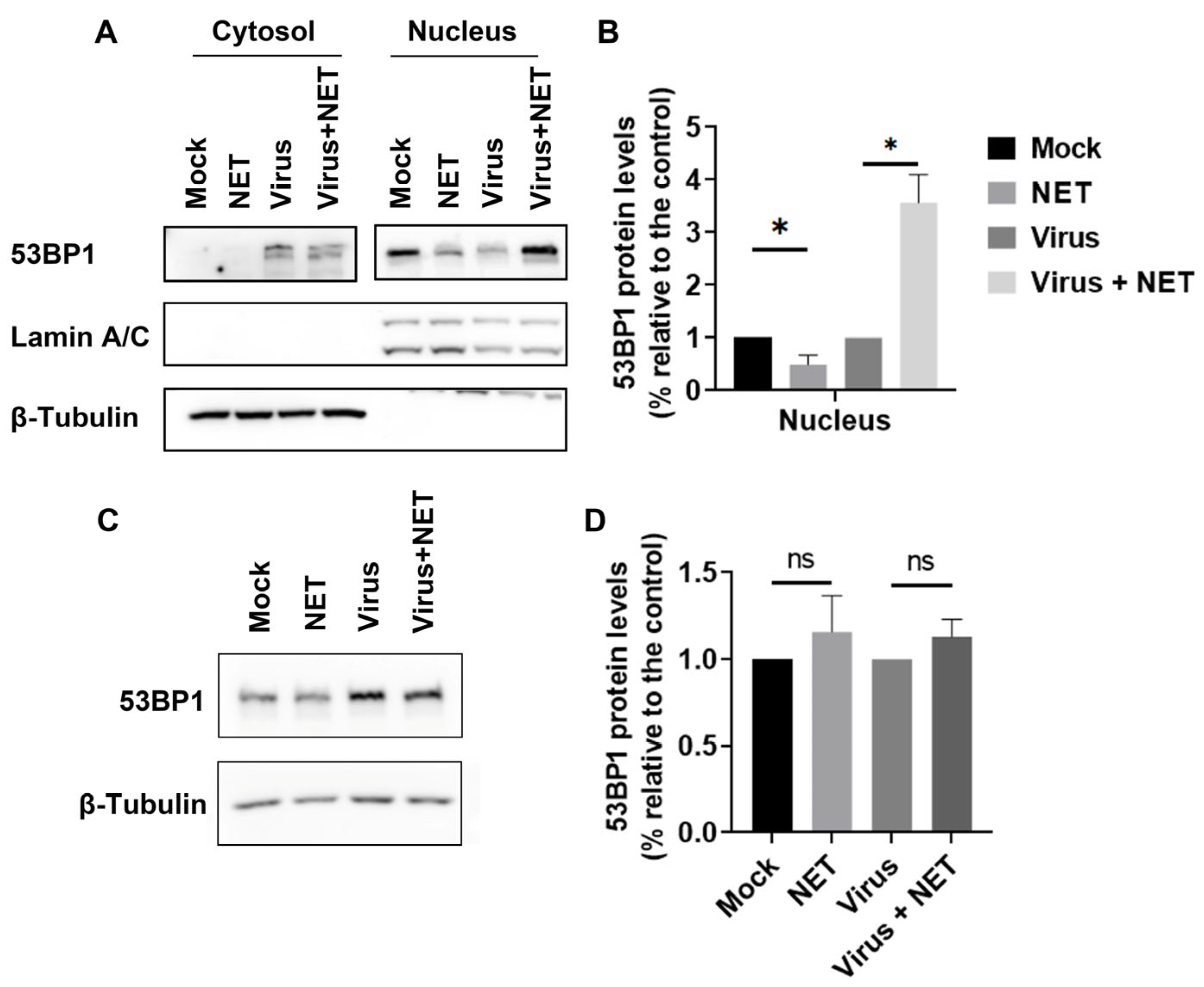Ijms 25 13265 g005 Ijms 25 13265 g005