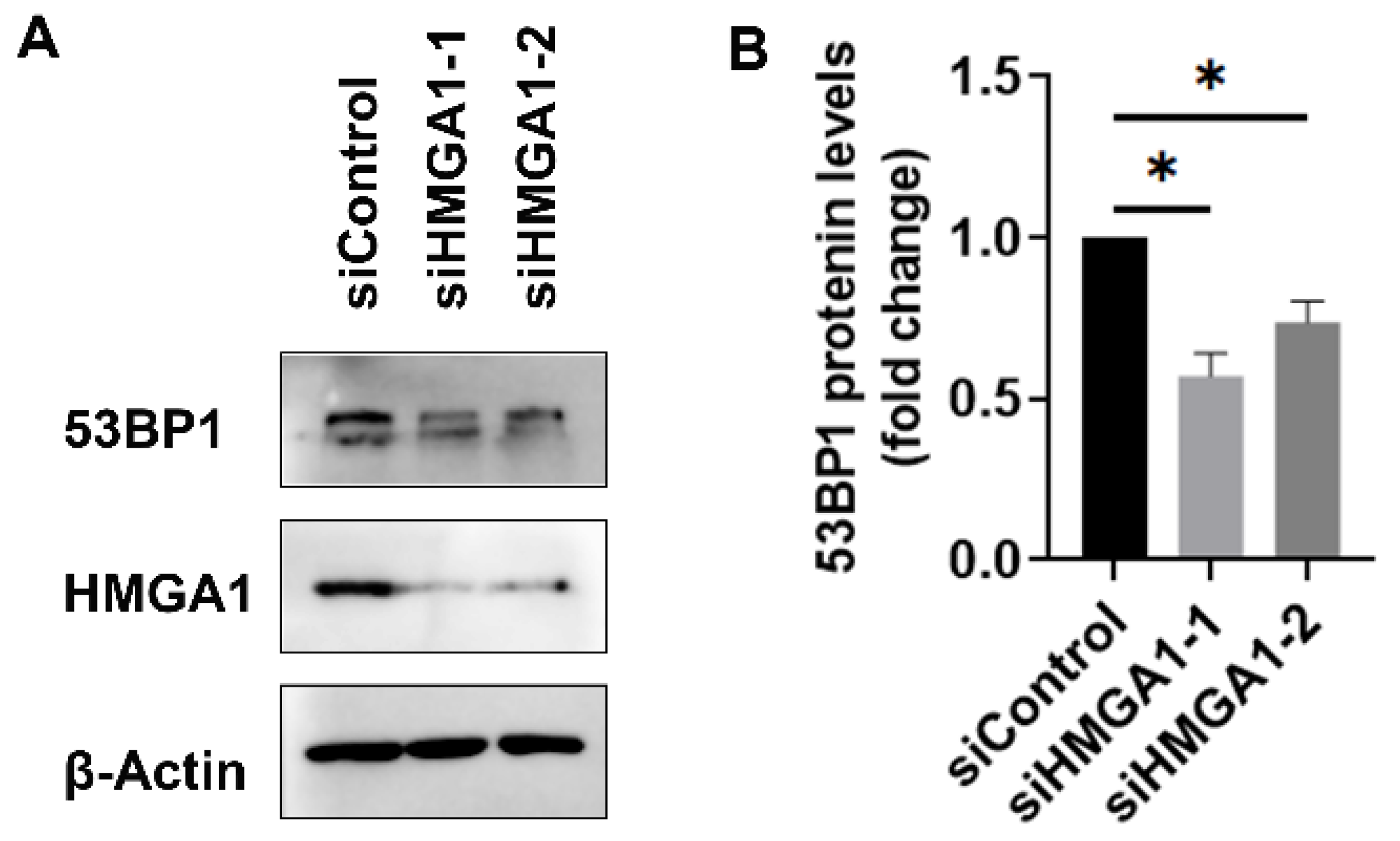 Ijms 25 13265 g006 Ijms 25 13265 g006