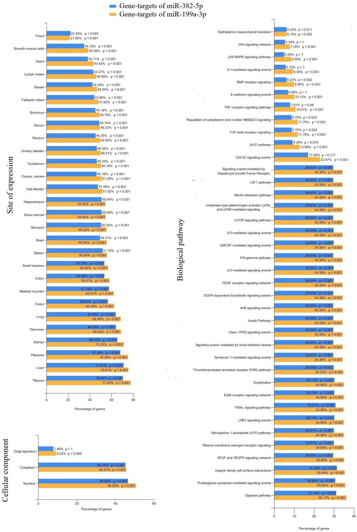 Ijms 25 13309 g007 Ijms 25 13309 g007
