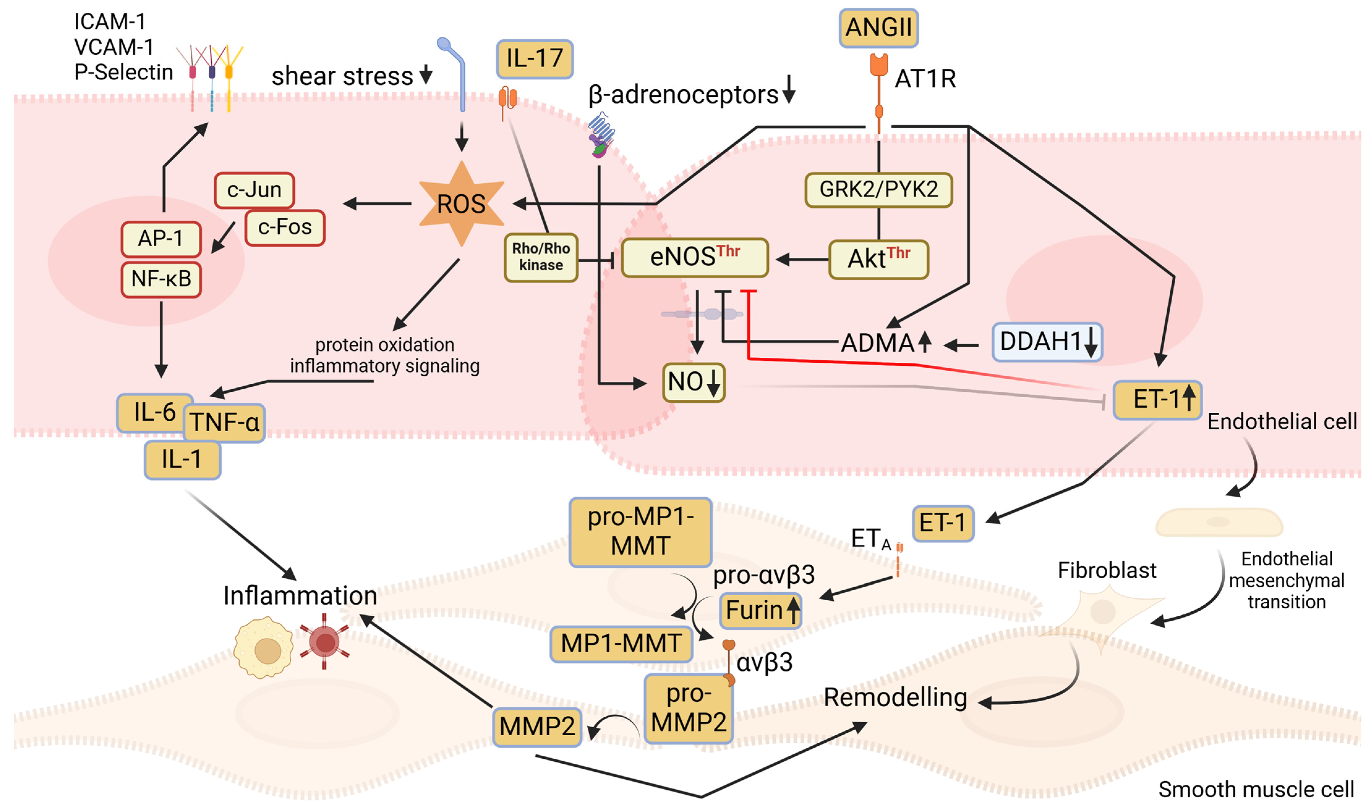 Ijms 25 13337 g002 Ijms 25 13337 g002