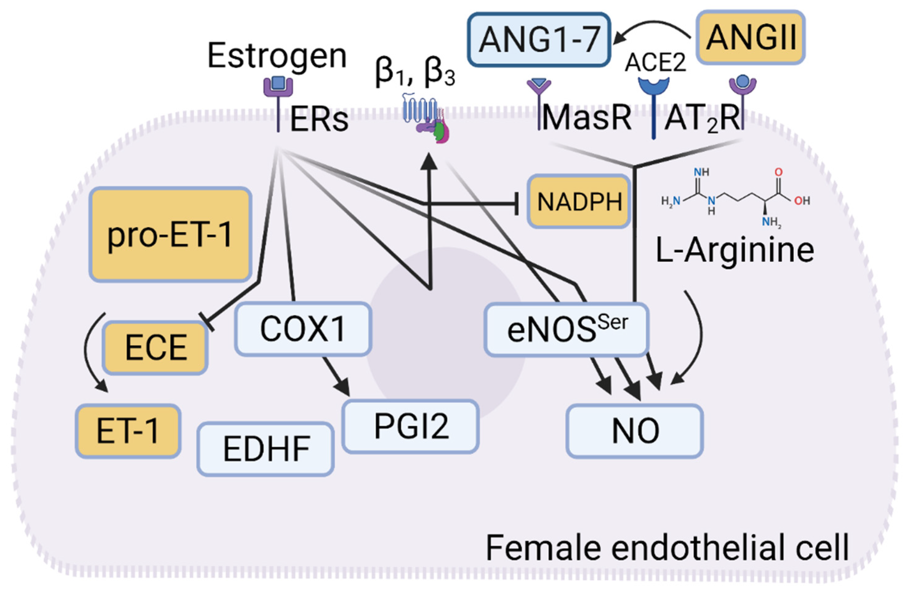 Ijms 25 13337 g006 Ijms 25 13337 g006