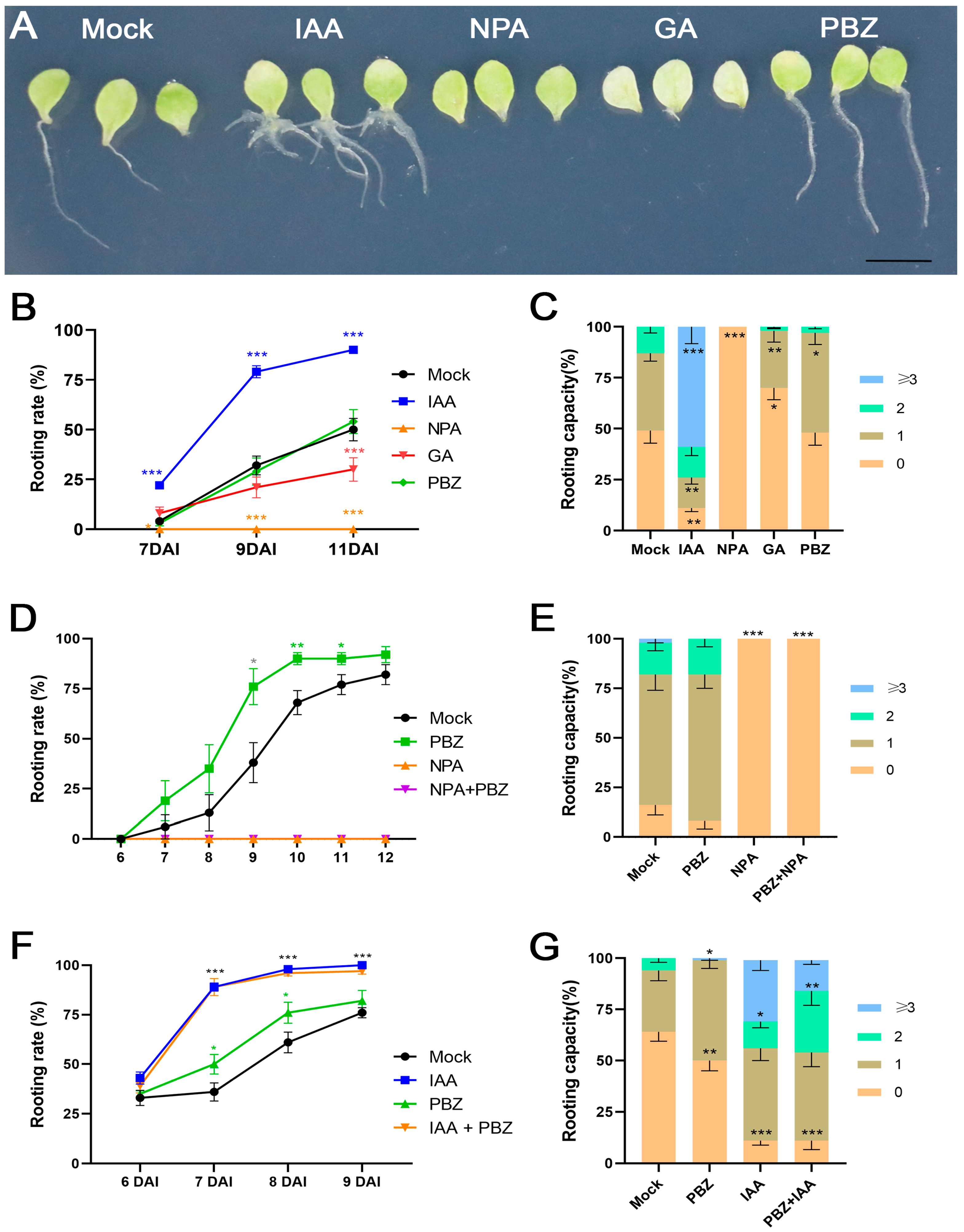 Ijms 25 13340 g002 Ijms 25 13340 g002