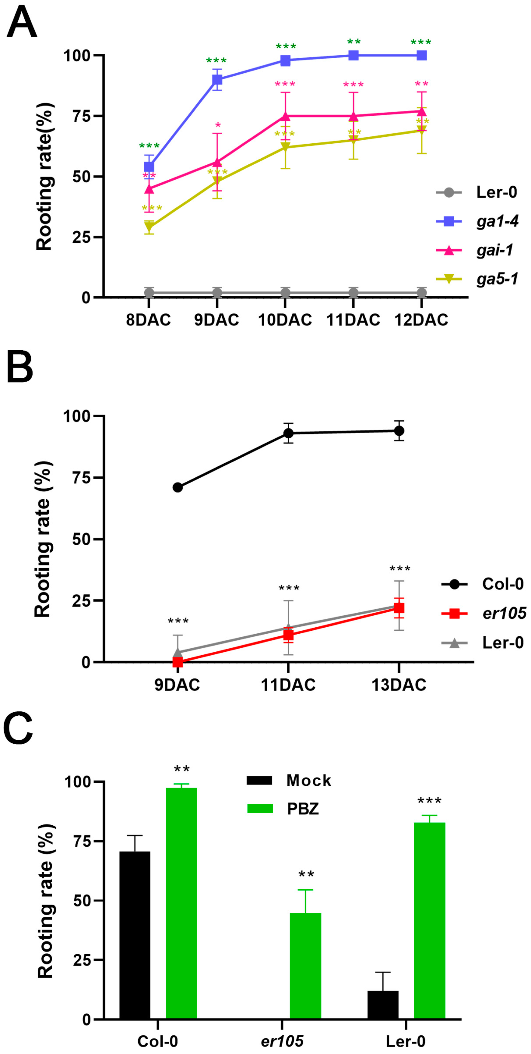 Ijms 25 13340 g003 Ijms 25 13340 g003