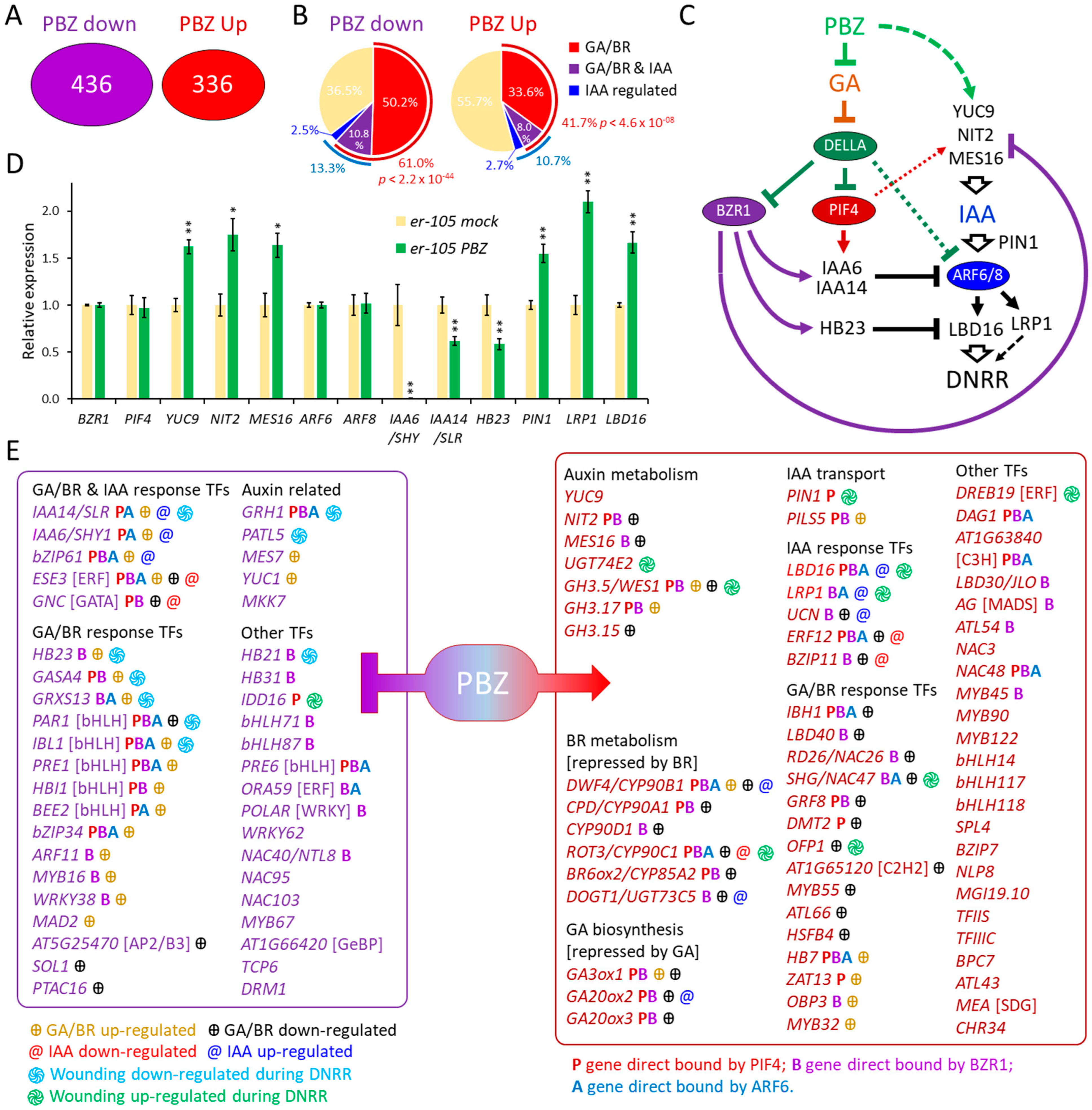 Ijms 25 13340 g004 Ijms 25 13340 g004