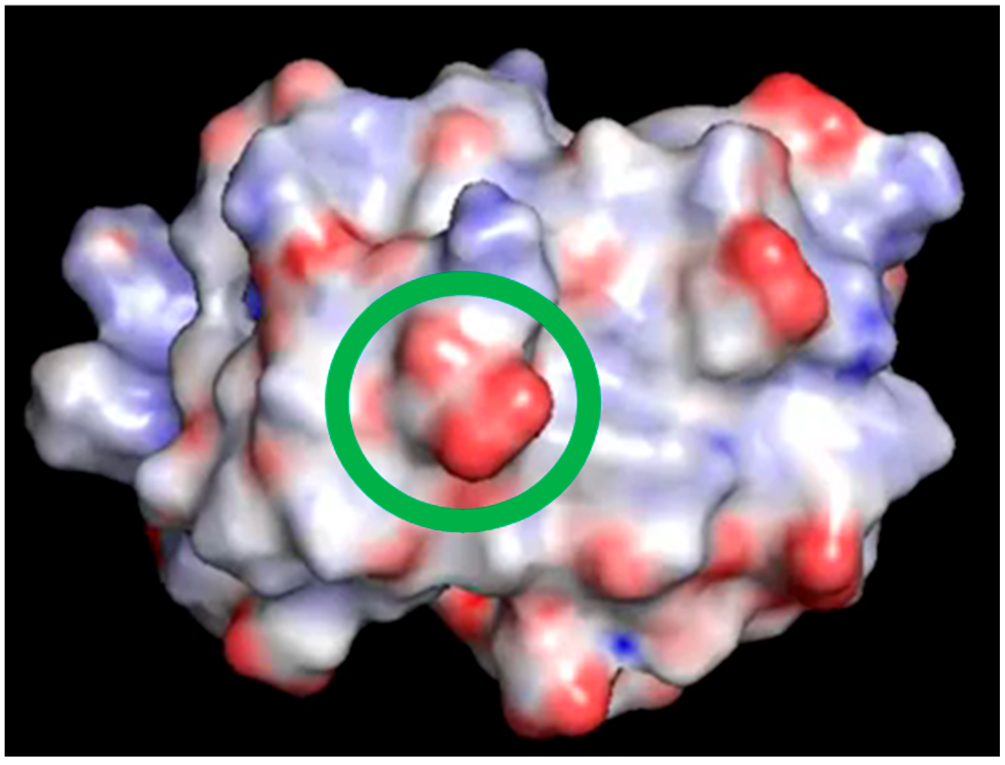 Ijms 25 13375 g006 Ijms 25 13375 g006