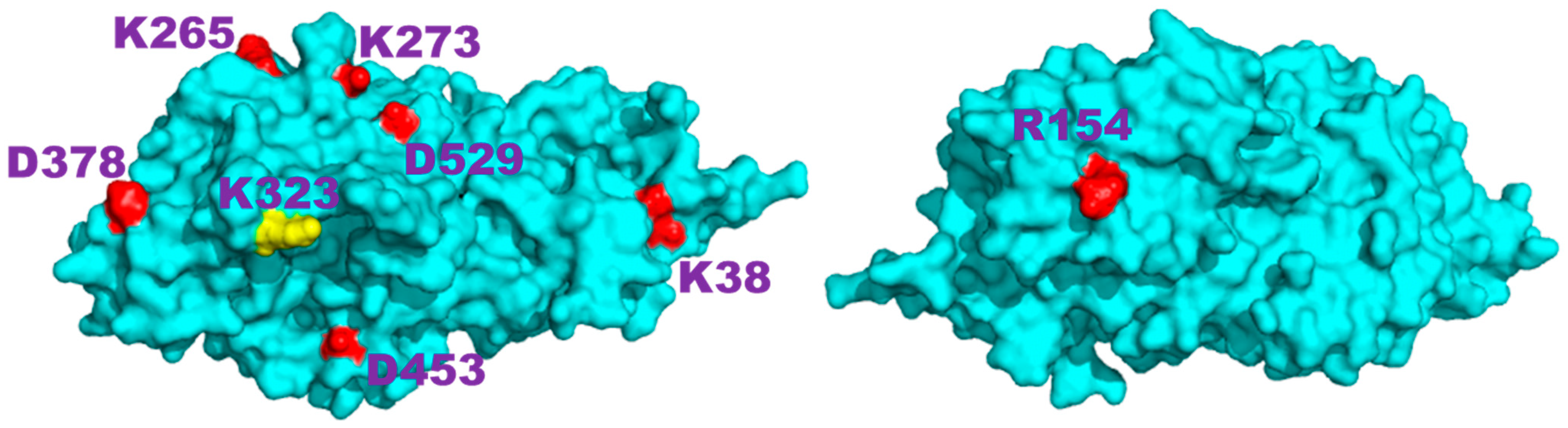 Ijms 25 13375 g007 Ijms 25 13375 g007