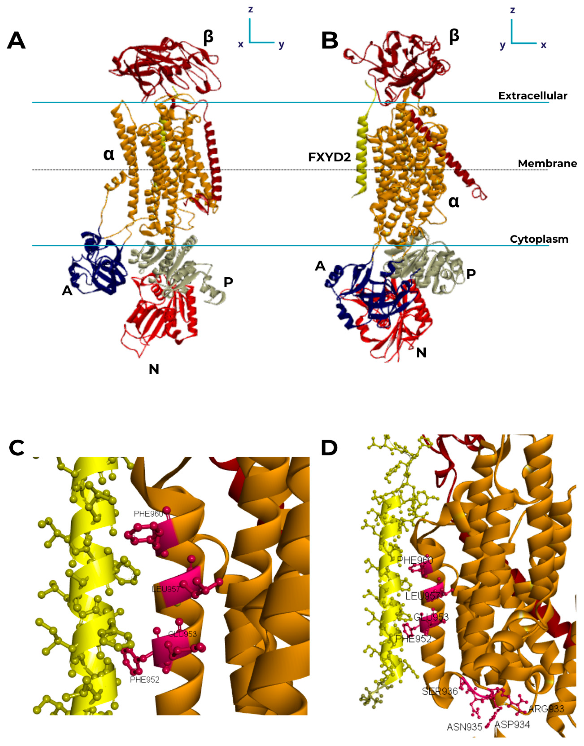 Ijms 25 13398 g001 Ijms 25 13398 g001
