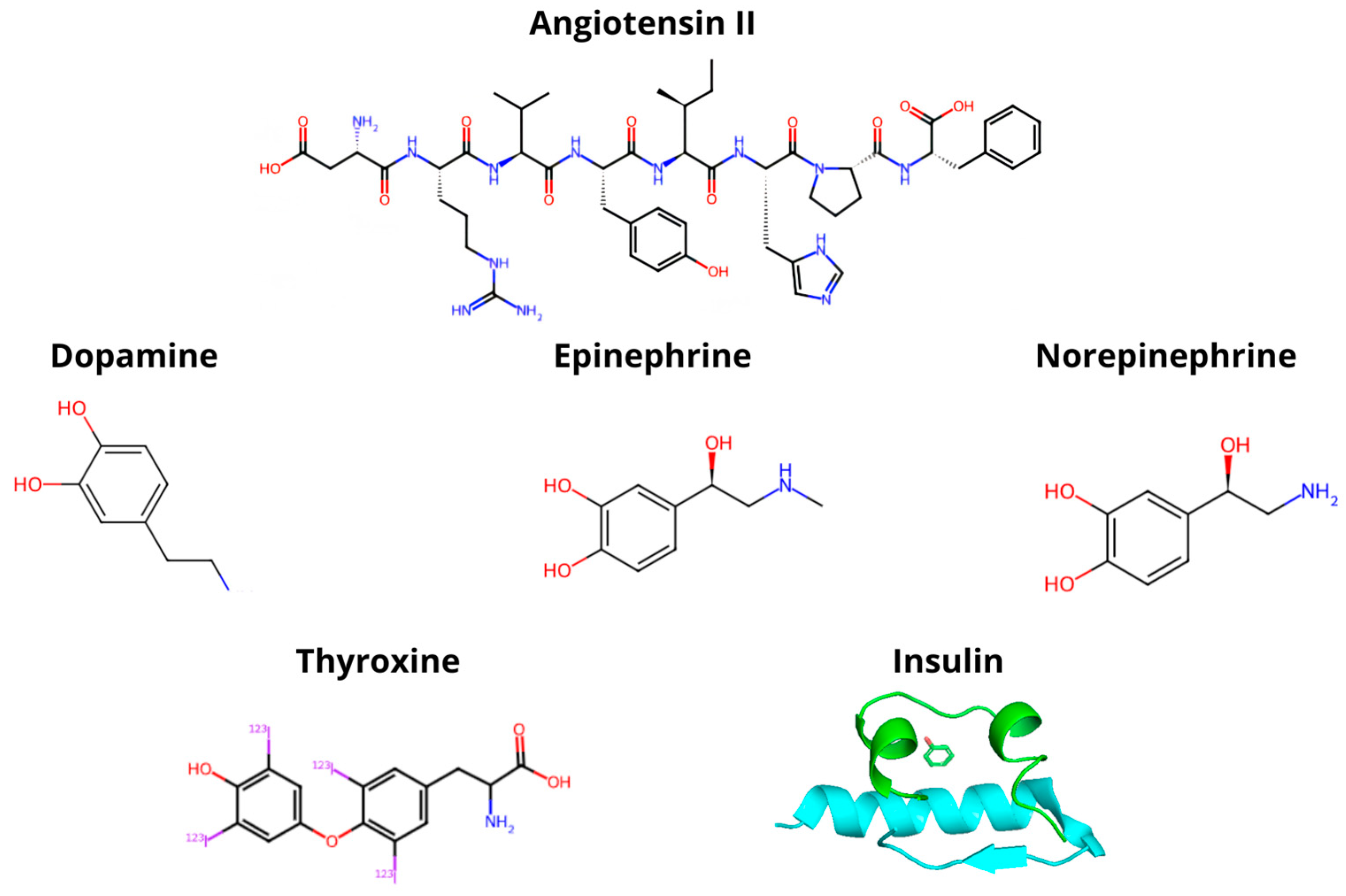 Ijms 25 13398 g003 Ijms 25 13398 g003